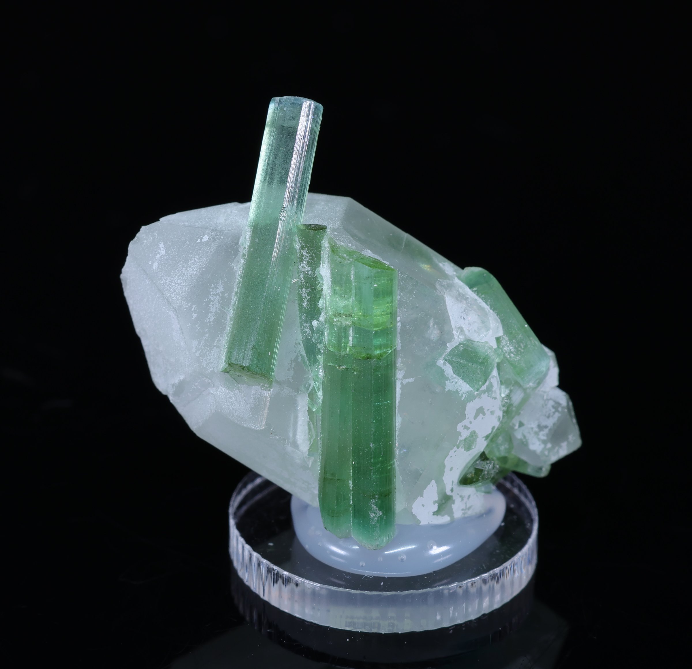 Turmalina verde en cristal de cuarzo de Afganistán