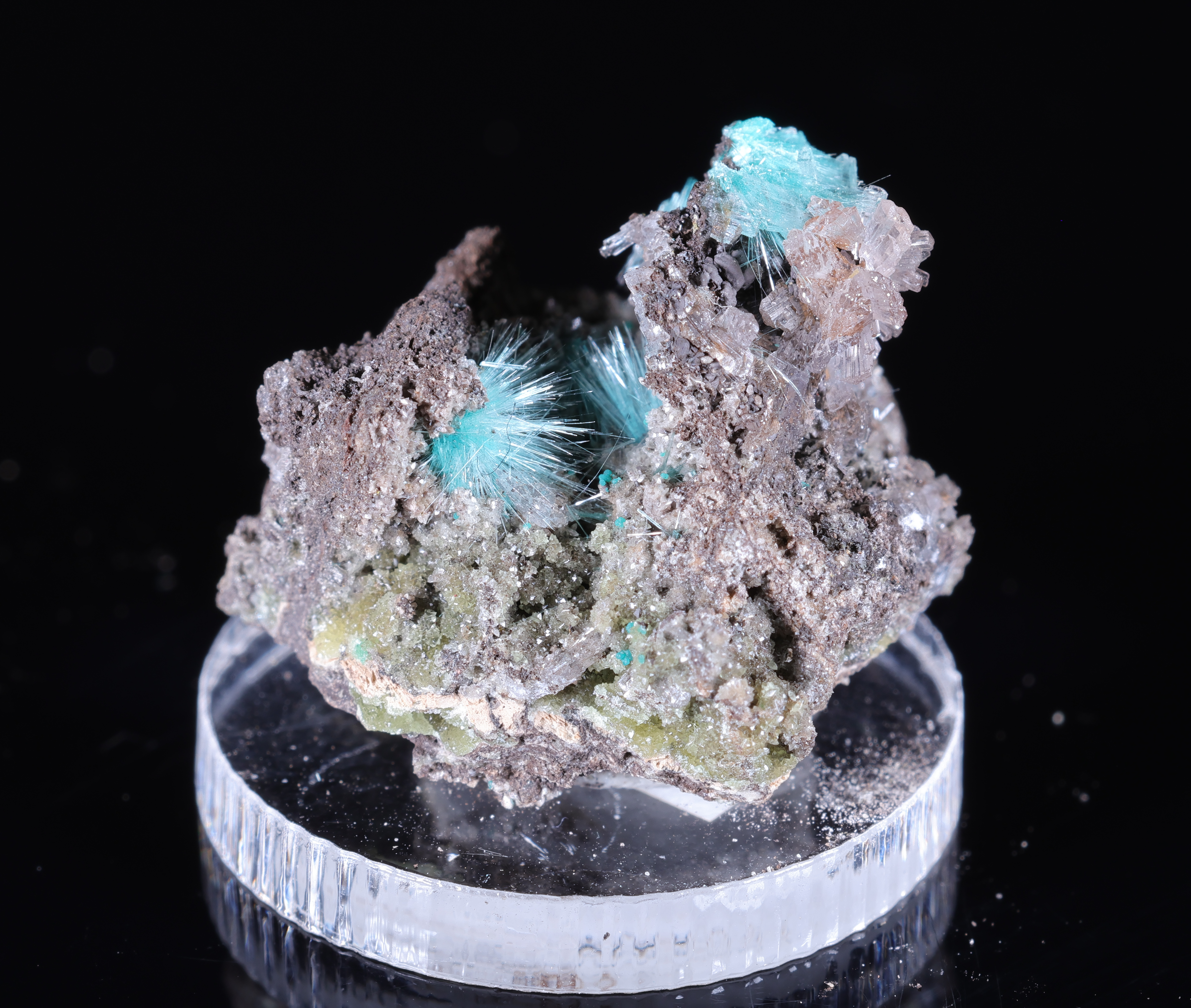 Auricalcita turquesa con hemimorfito de la mina 79 Mine en Arizona