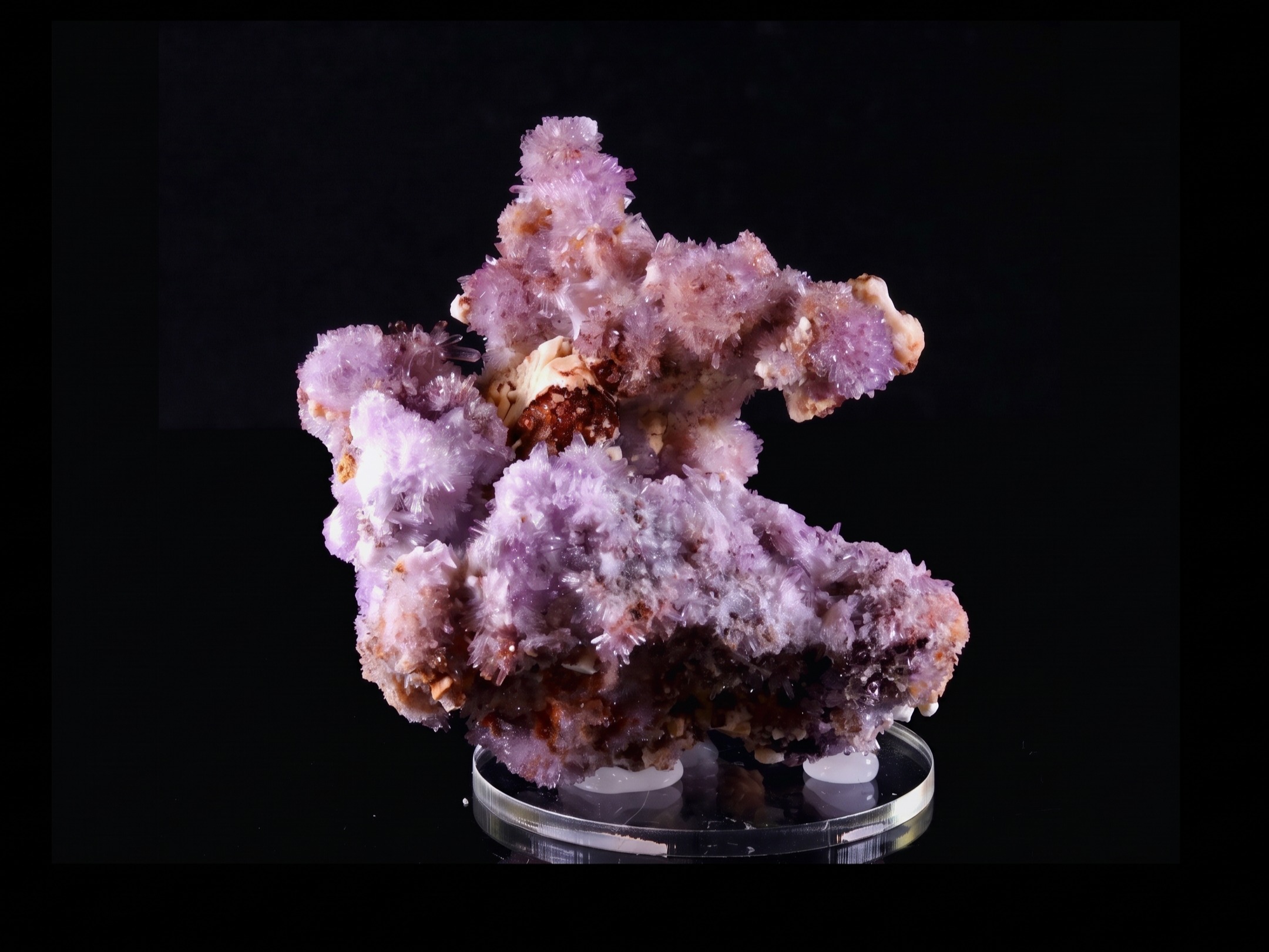 Creedite
