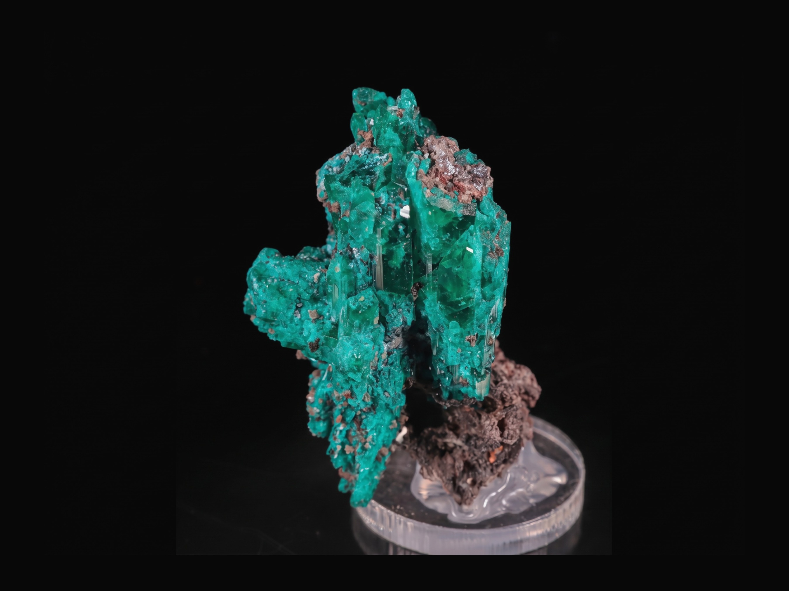 Szmaragdowo-zielony Dioptaz z N'tola Mine
