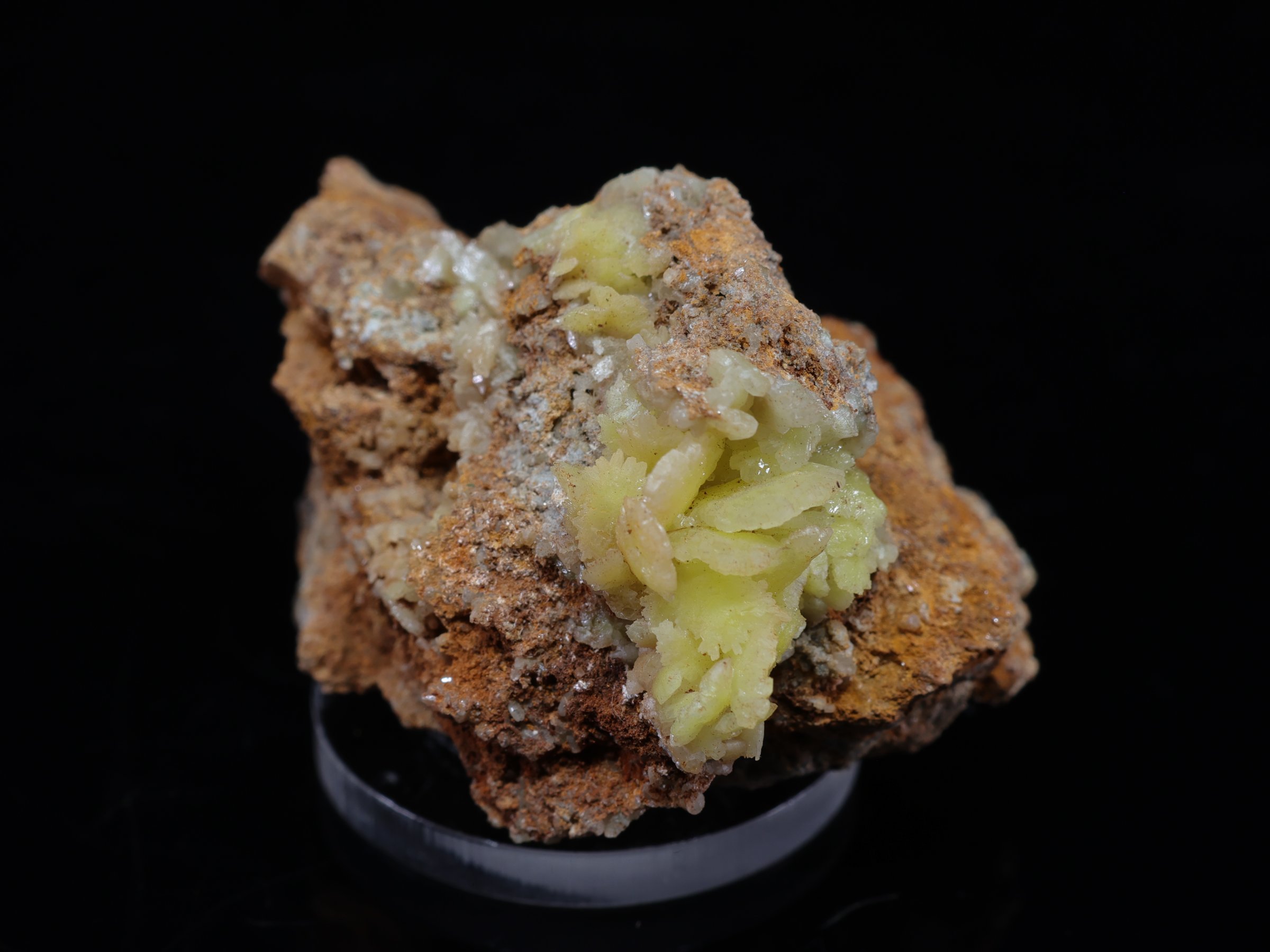 Cytrynowo-żółty adamit z Ojuela Mine
