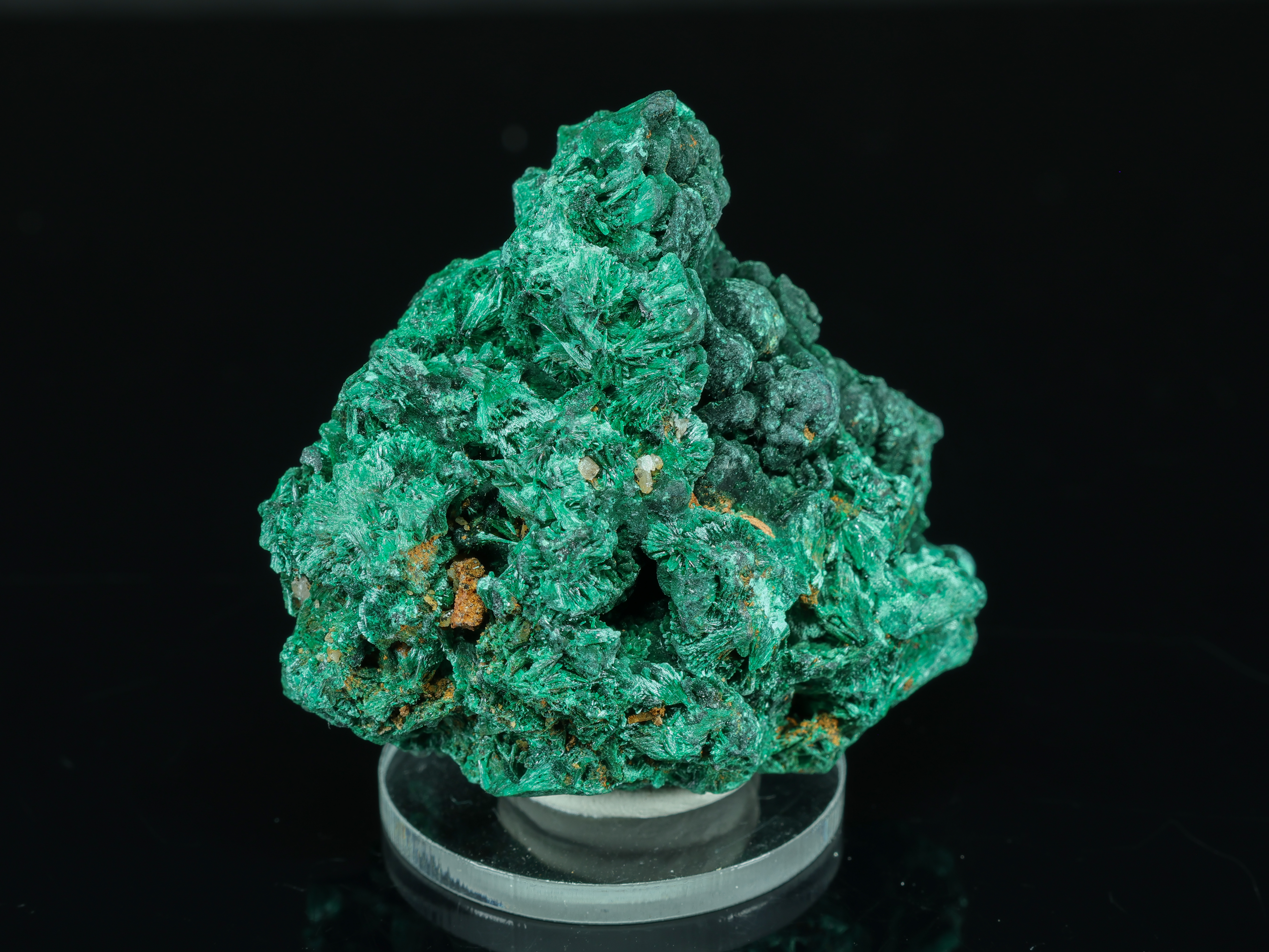 Deep Green Malachite from Congo
