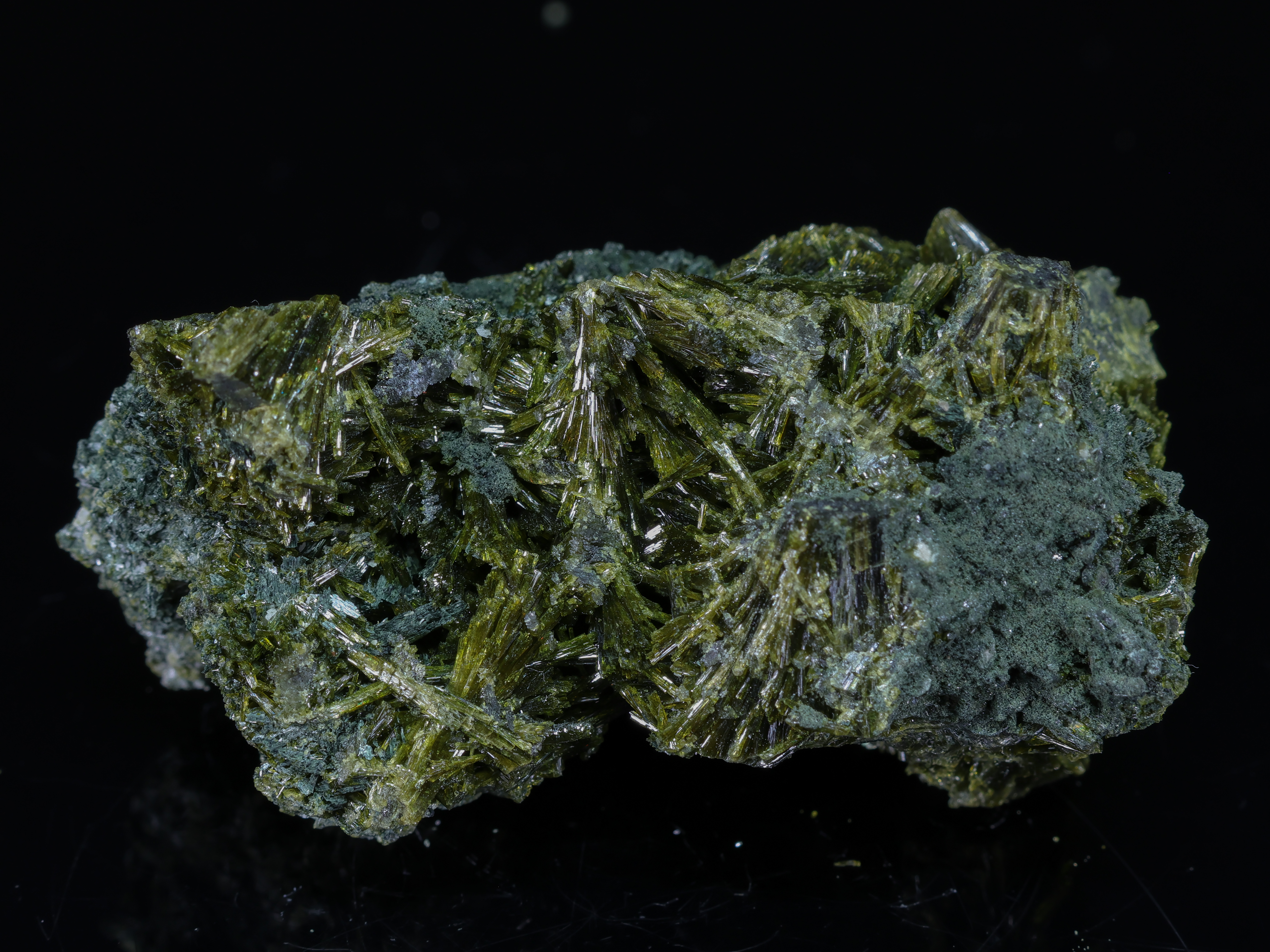 Olive-green crystals of Epidote from Pakistan - 6.5cm