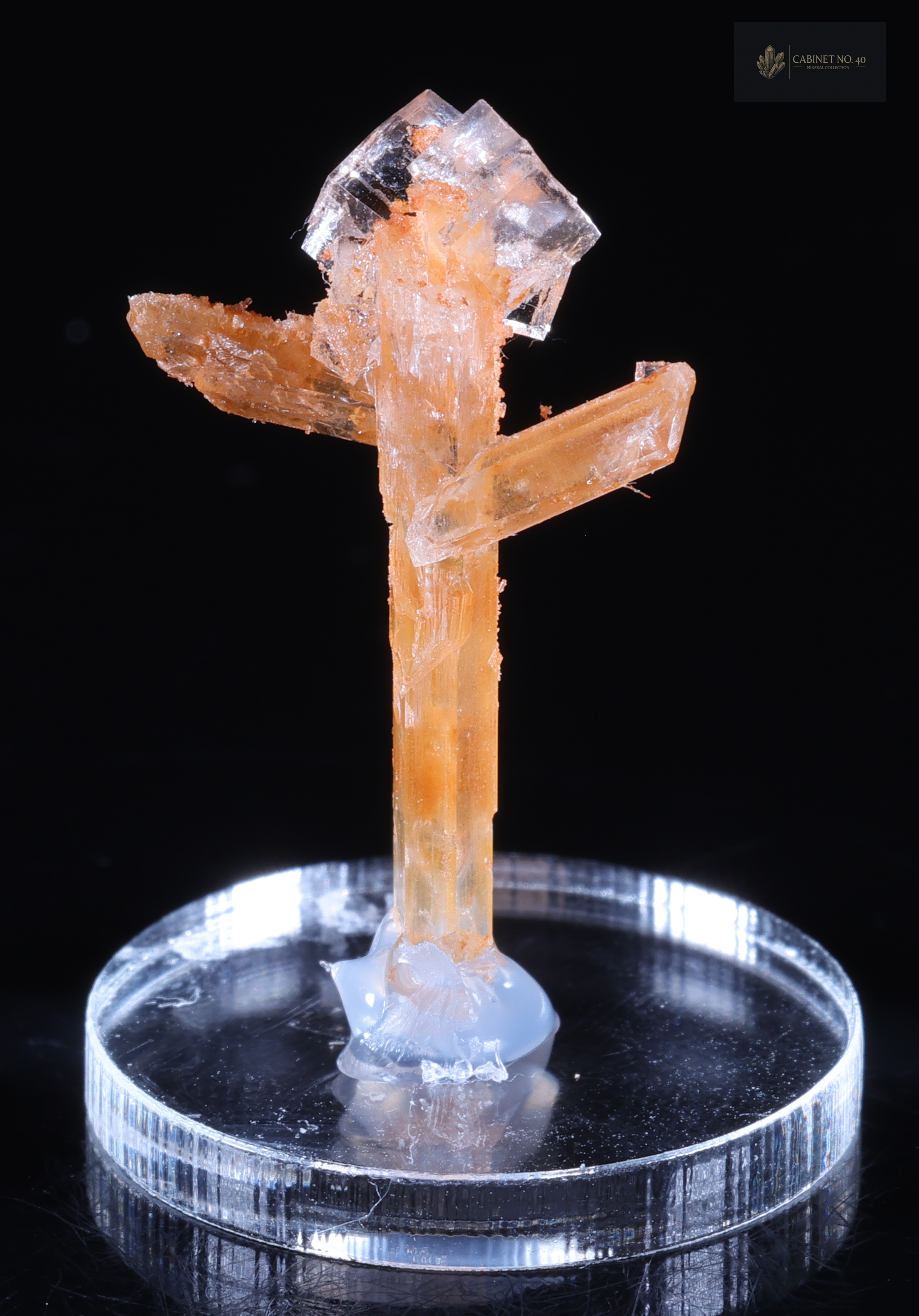 Halite on Gypsum from Poland