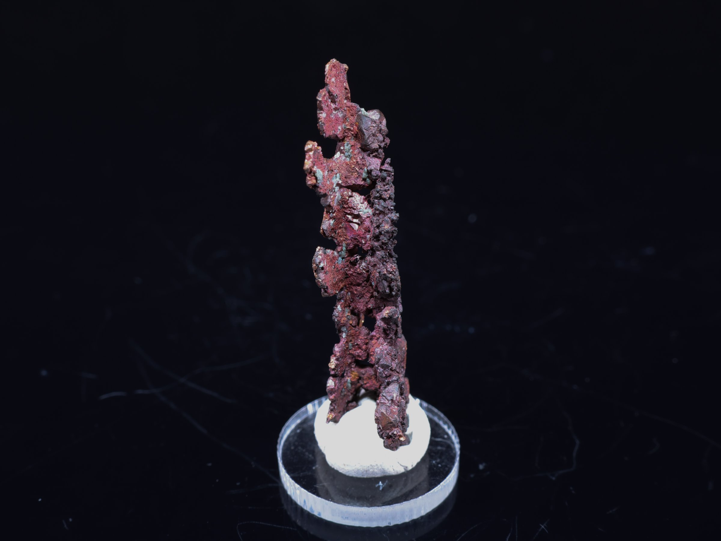 Dendritic Native Copper with Chalcocite from Rubtsovsk Mine
