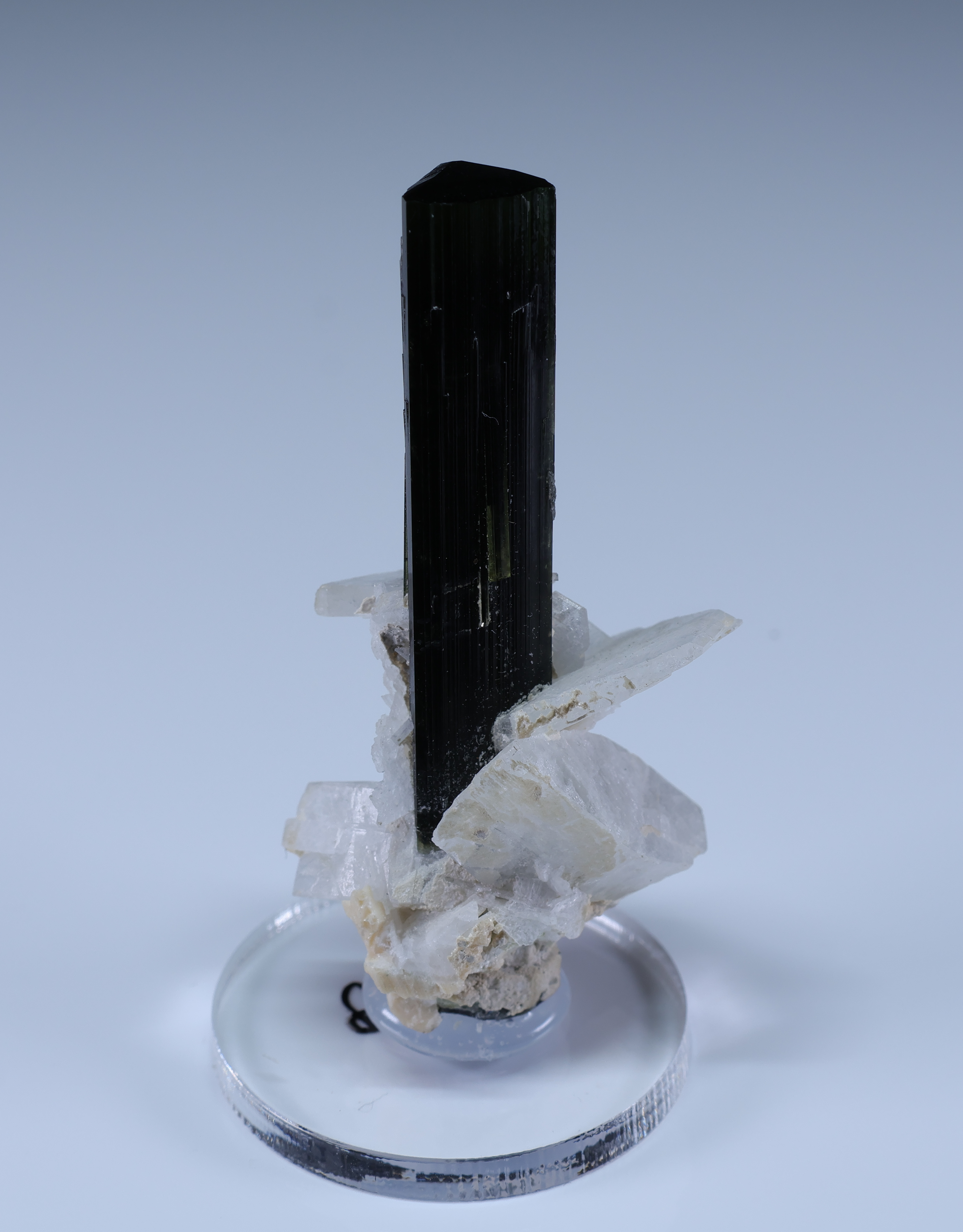 Dark Green Elbaite on Albite from Pakistan