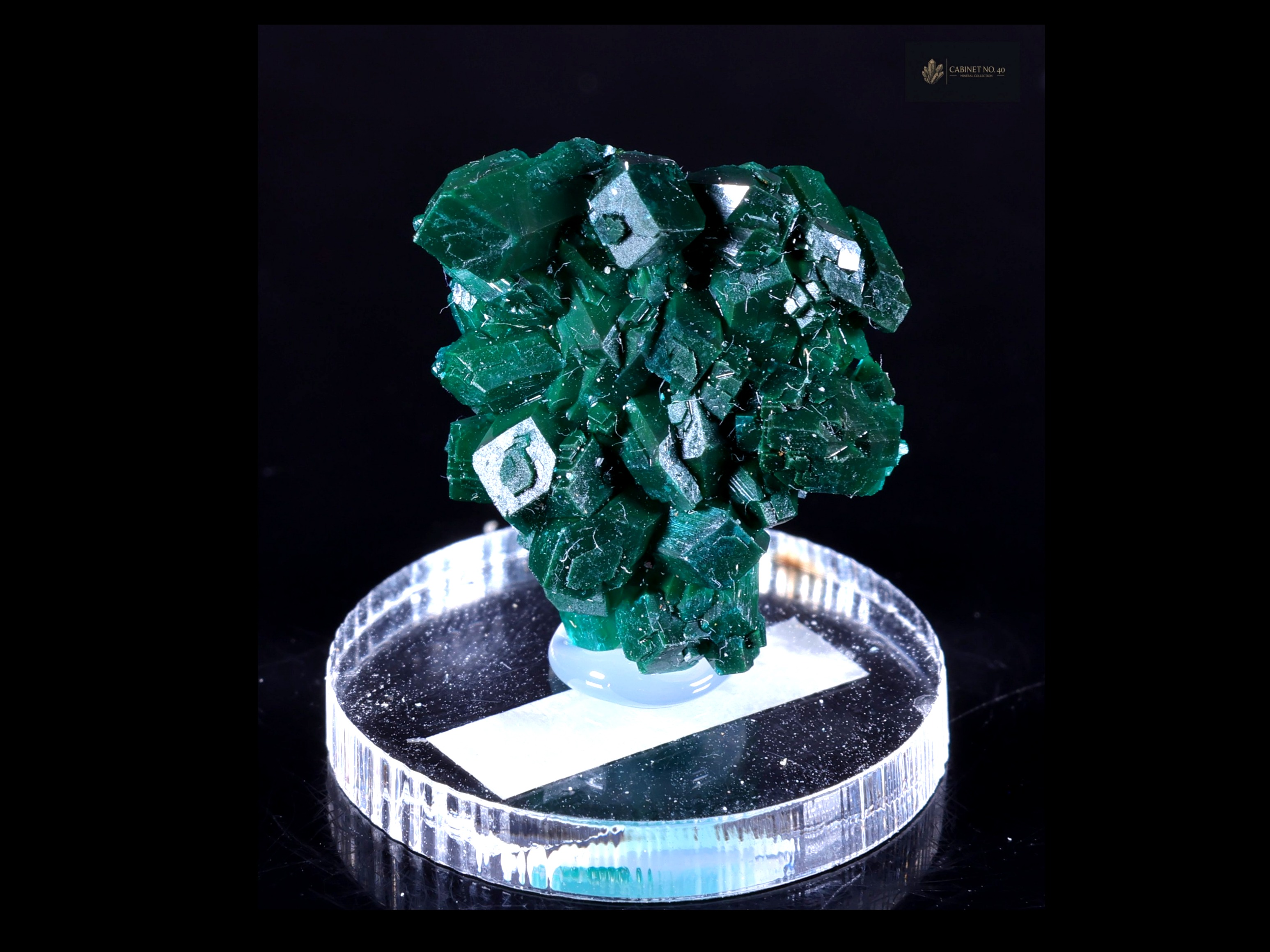 Szmaragdowo-zielony Dioptaz z N'tola Mine