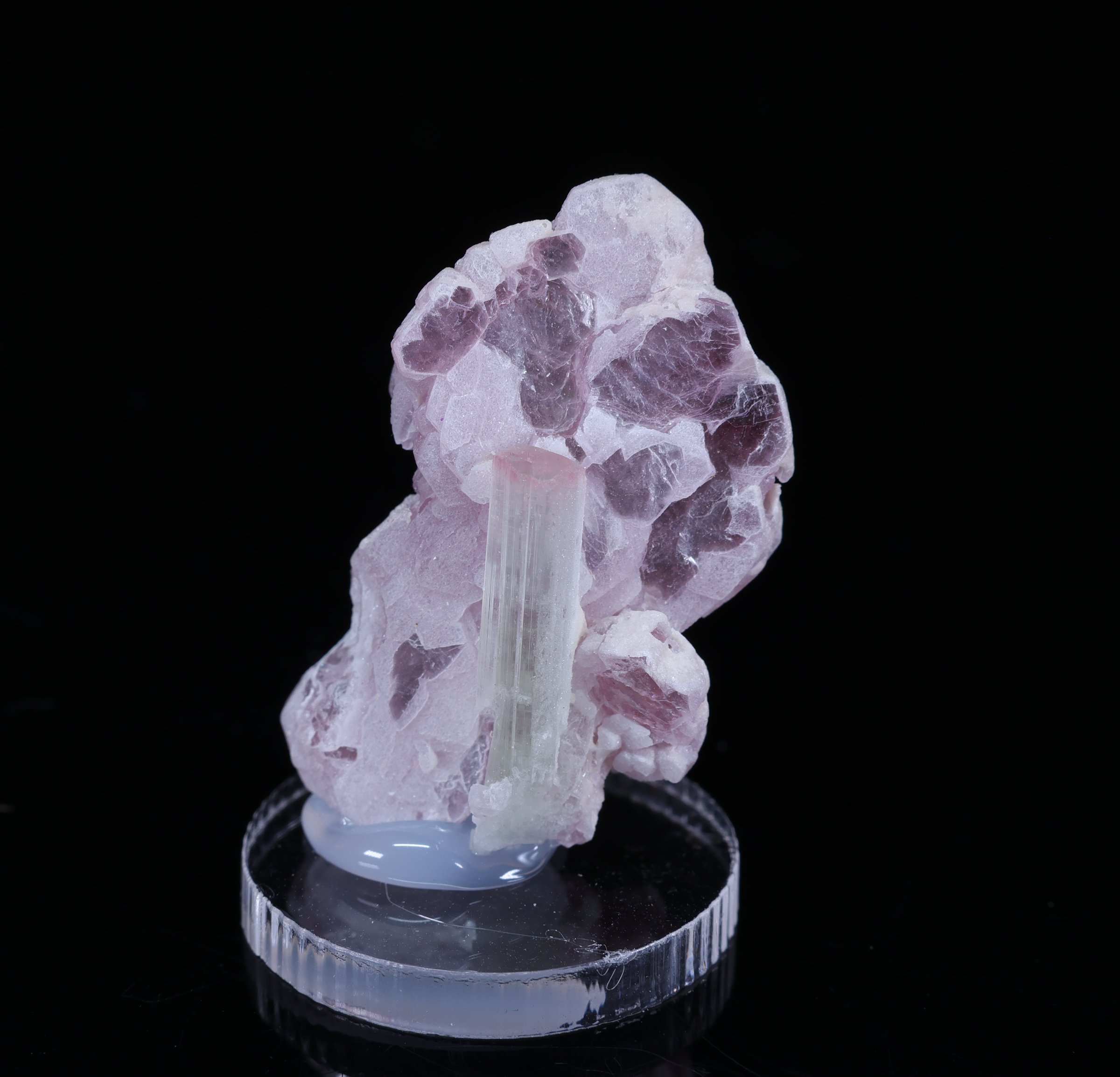 Bicolor Tourmaline on Lepidolite from Afghanistan