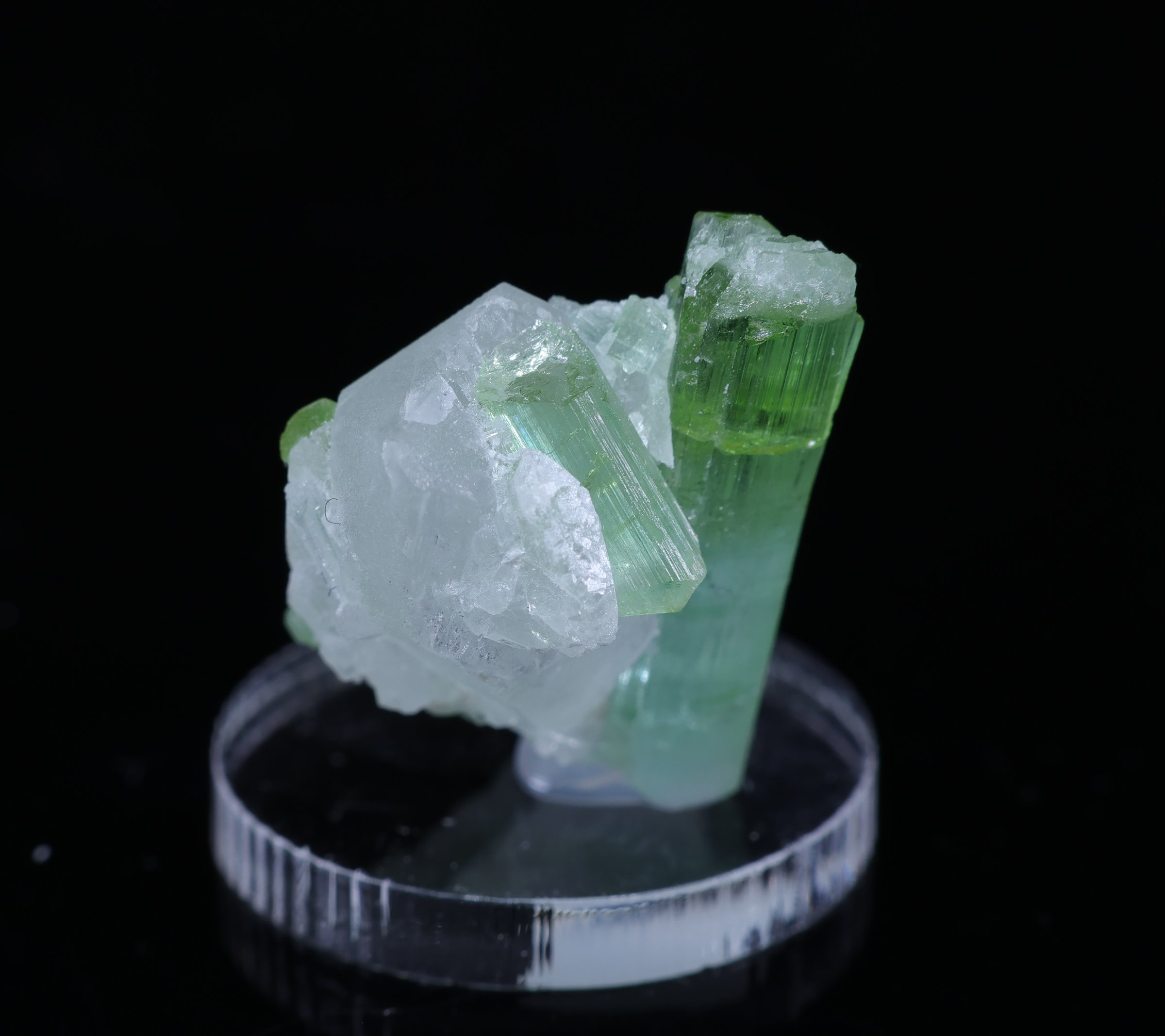 Zielony turmalin na białym matrixie z Afganistanu