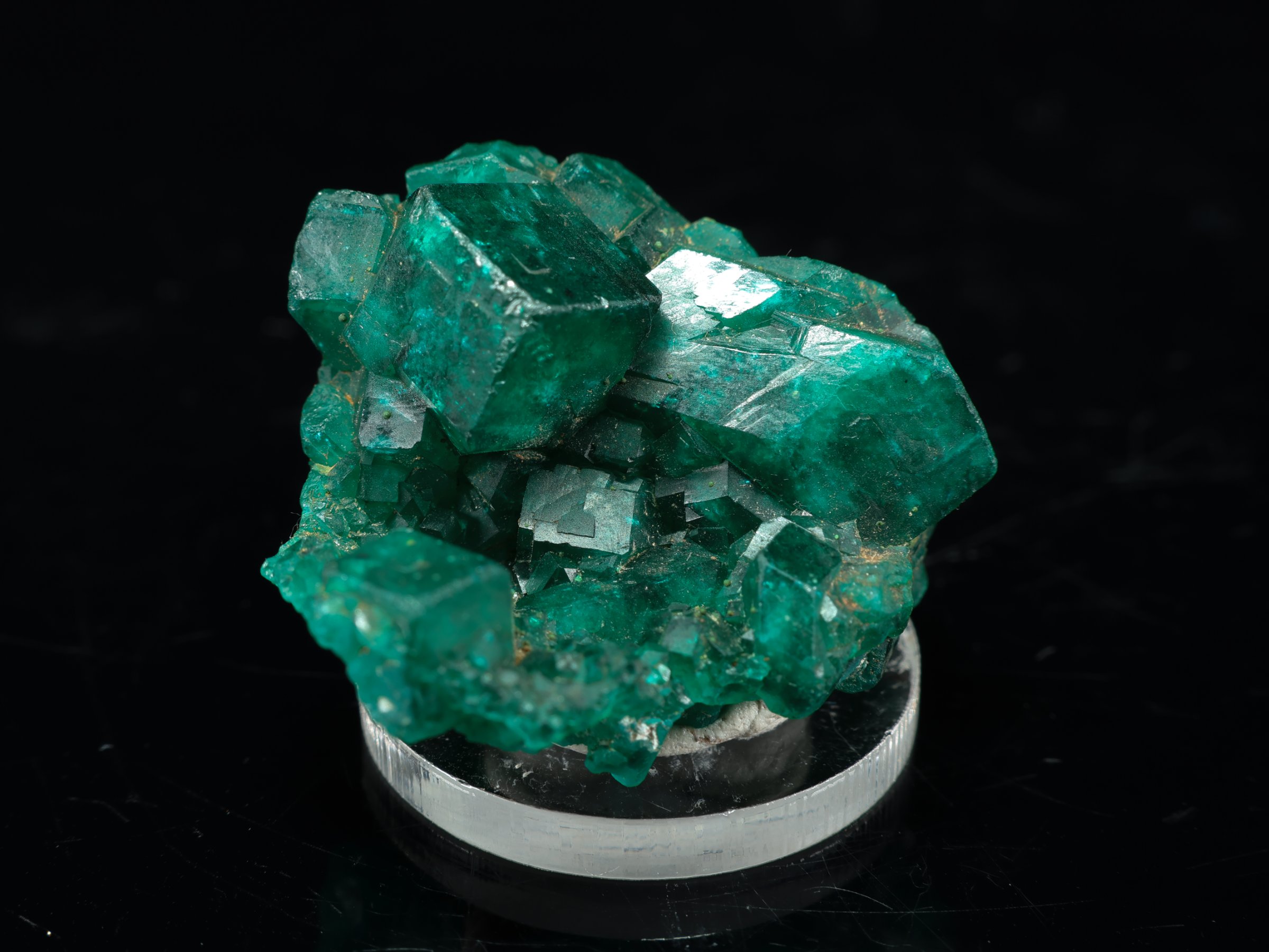 Szmaragdowozielone kryształy dioptazu z Tantara Mine w Kongu