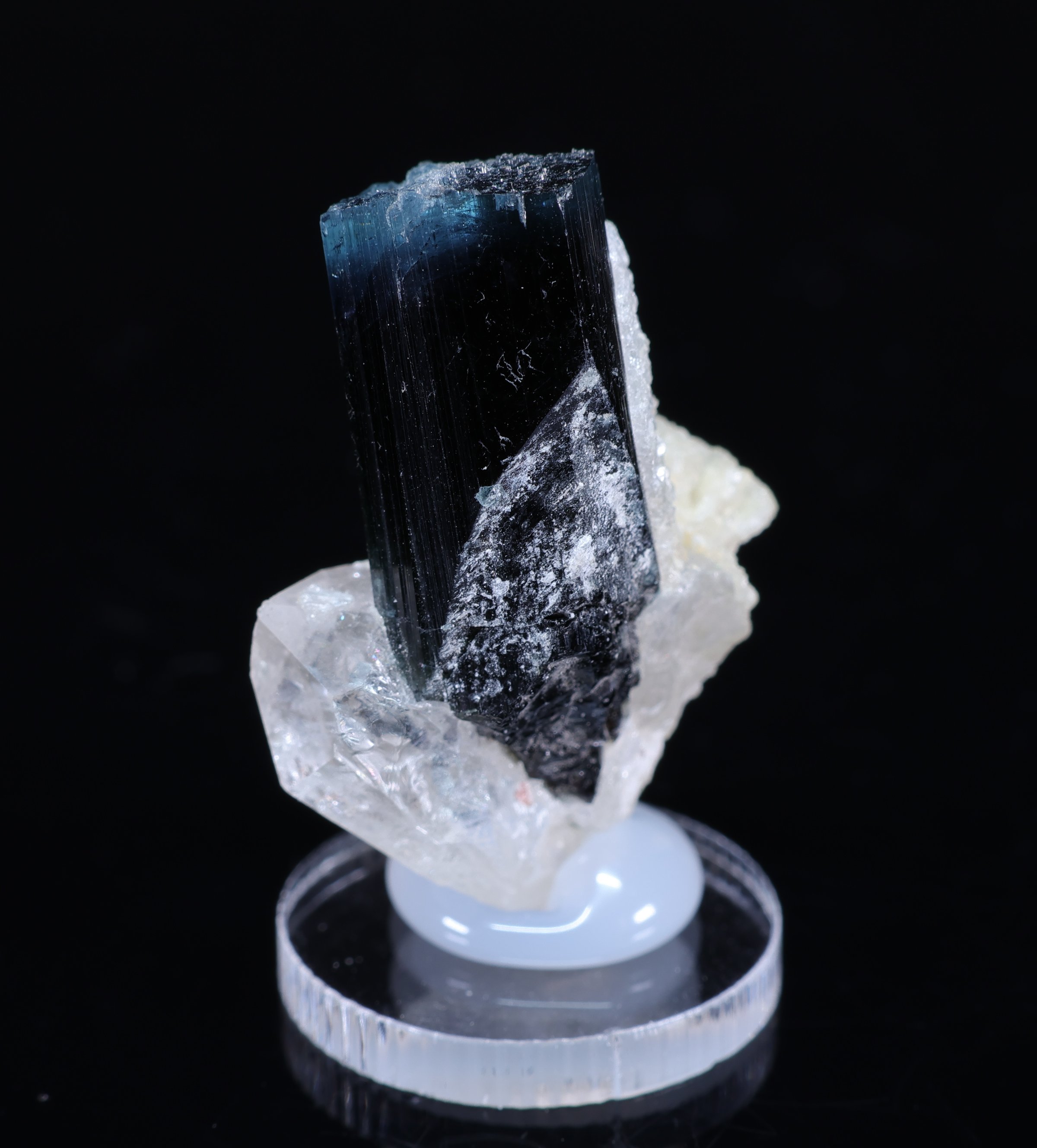 Turmalina azul sobre cristales blancos de cuarzo de Afganistán