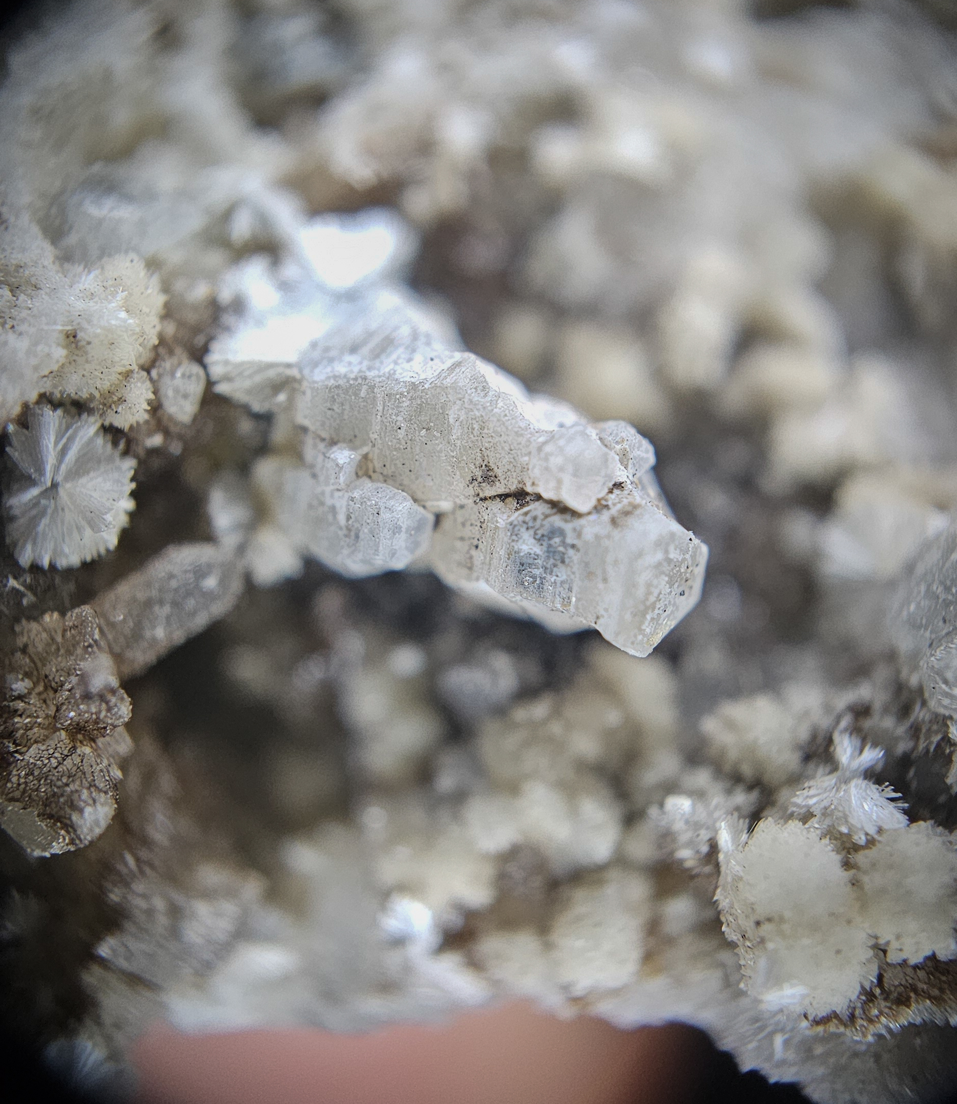 Weloganite