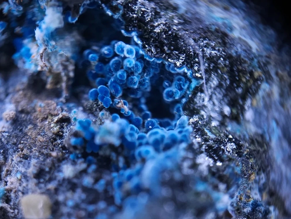 Connellite