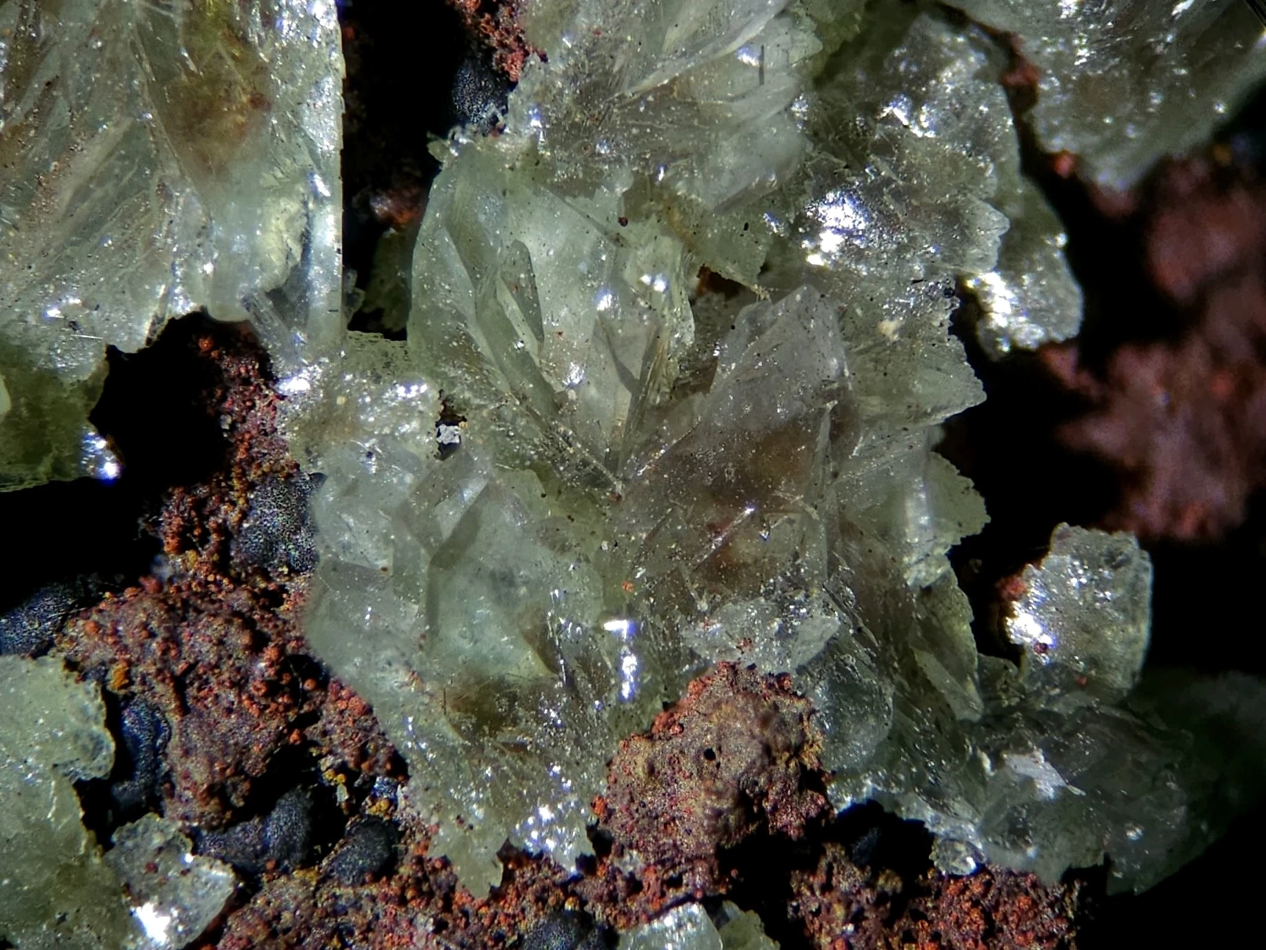 Copper-bearing Austinite