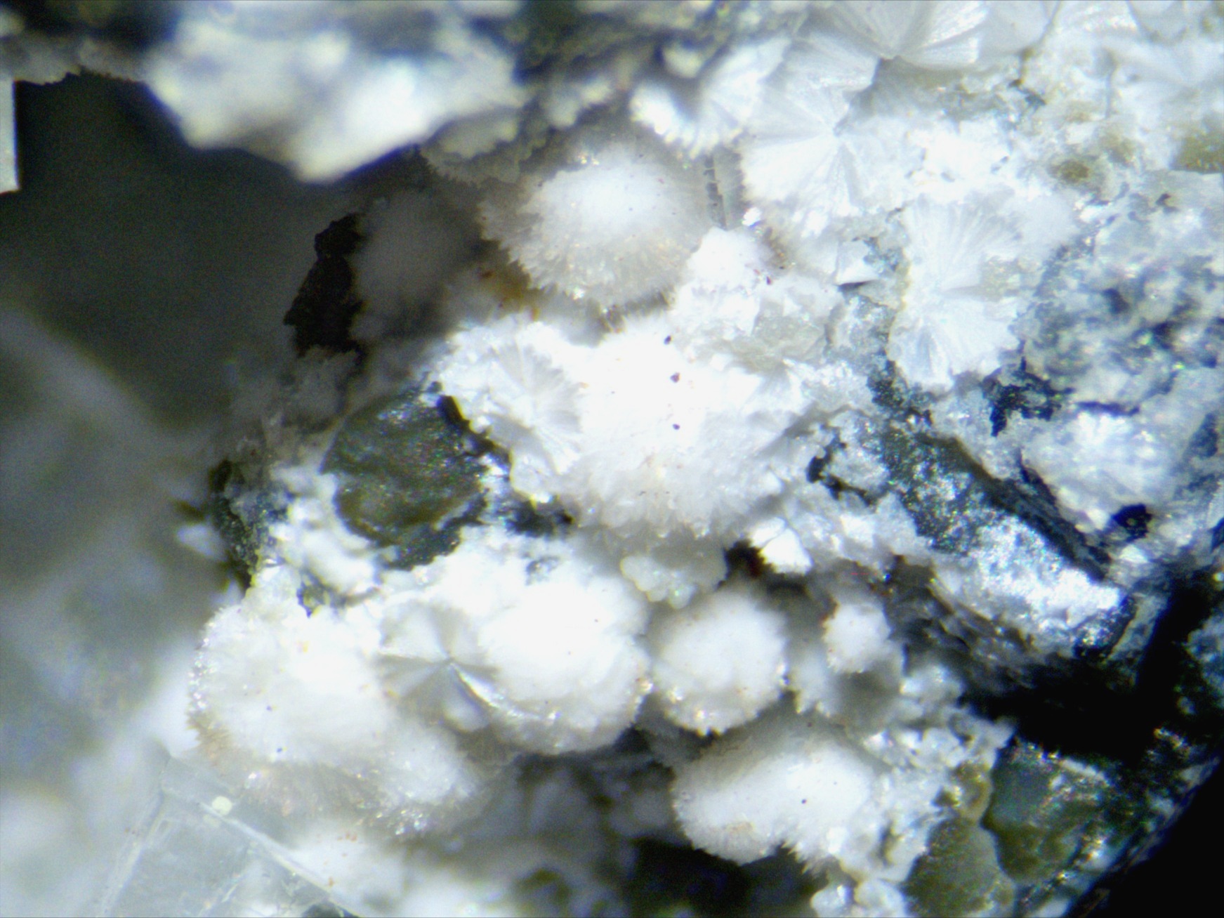 Cowlesite