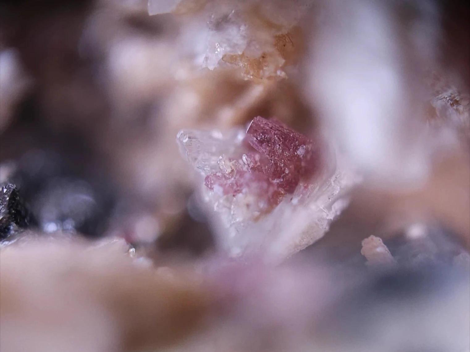 Petarasite