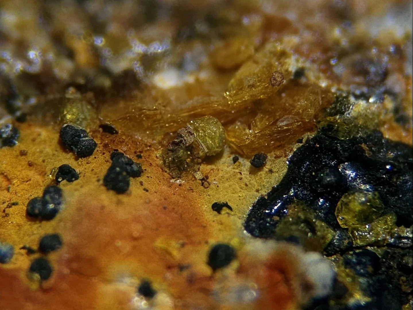 Pseudolaueit