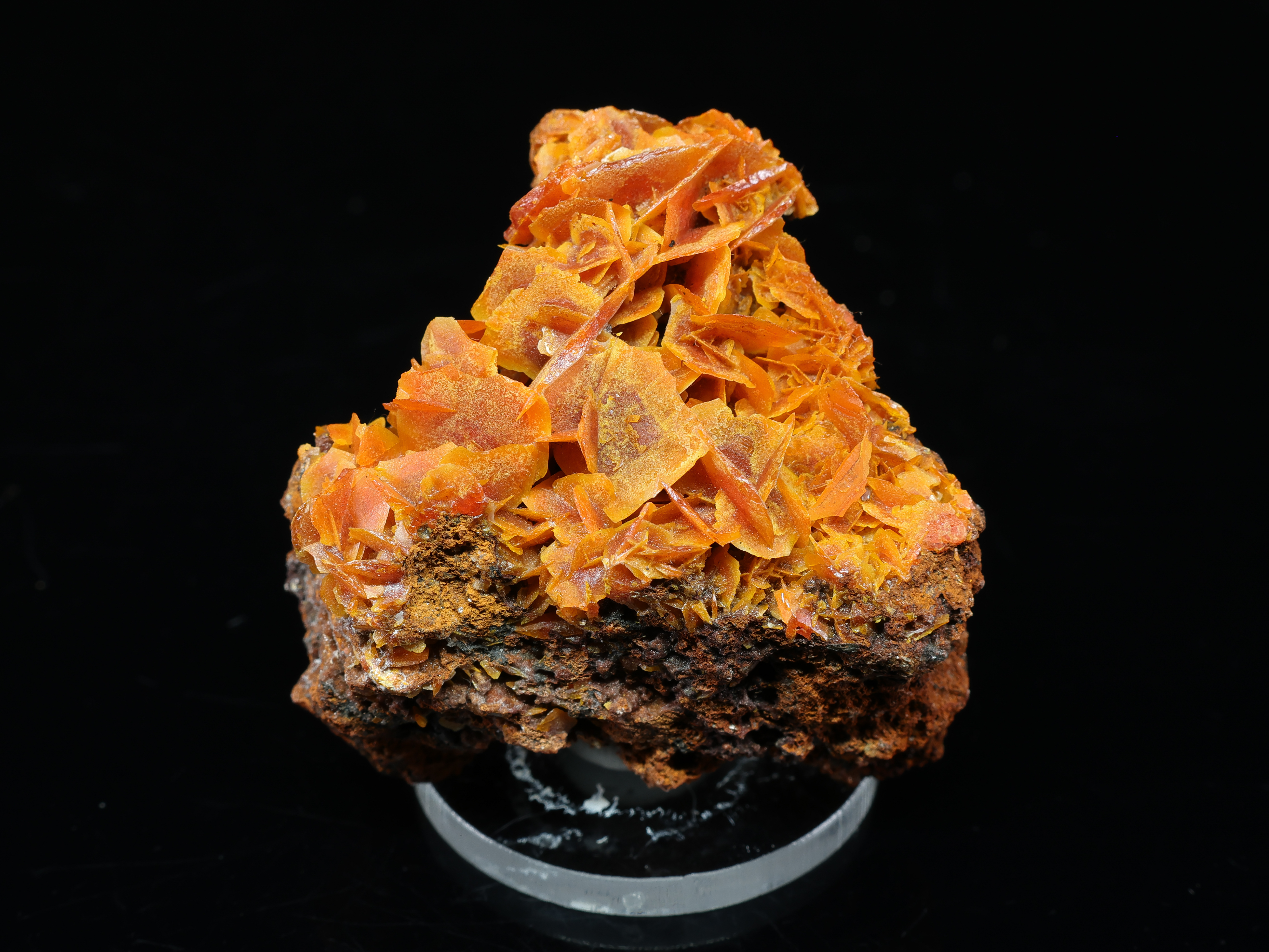 Intensely Orange Wulfenite from Jianshan Mine in China