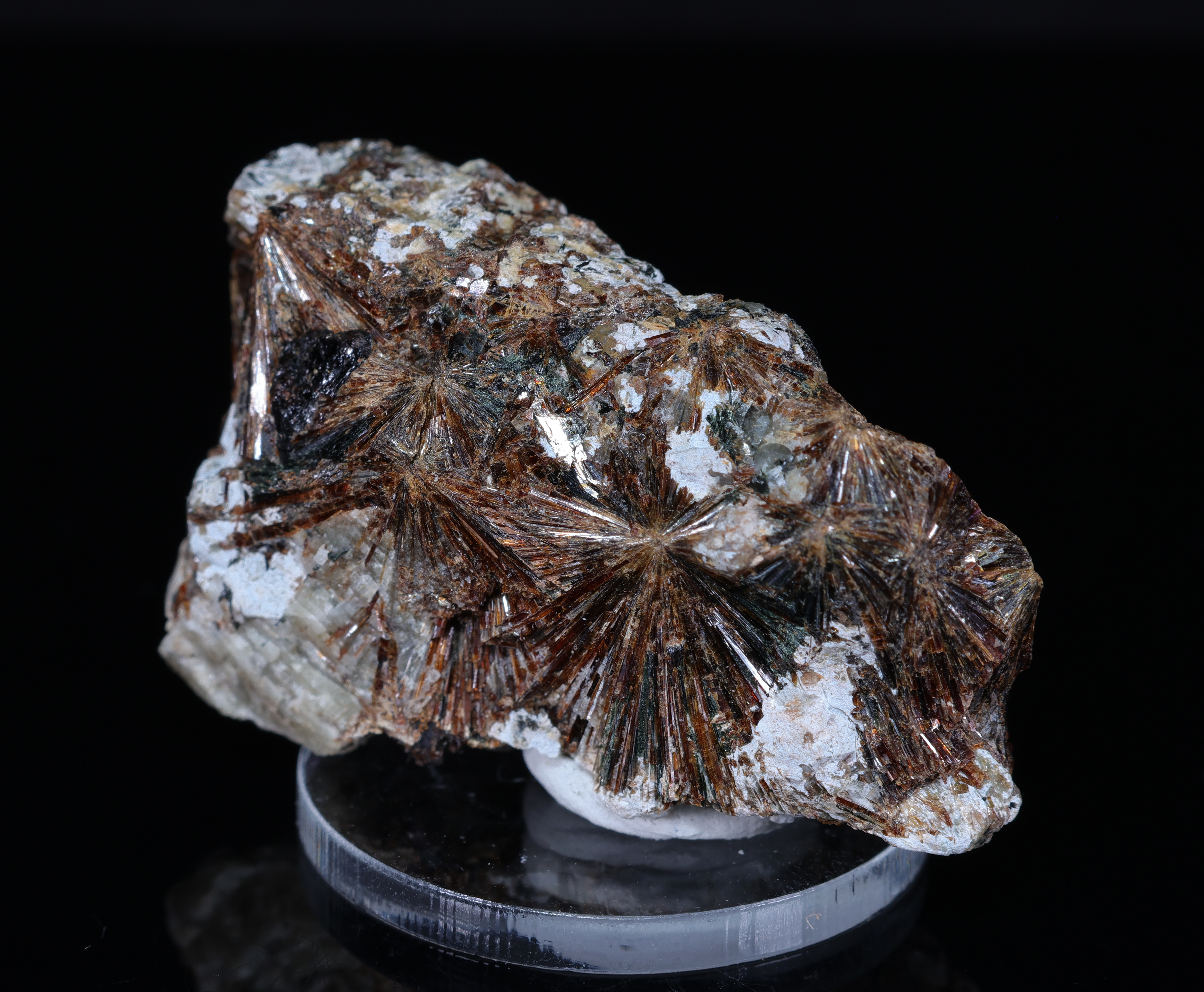 Brown Lamprophyre from the Lovozero Massif