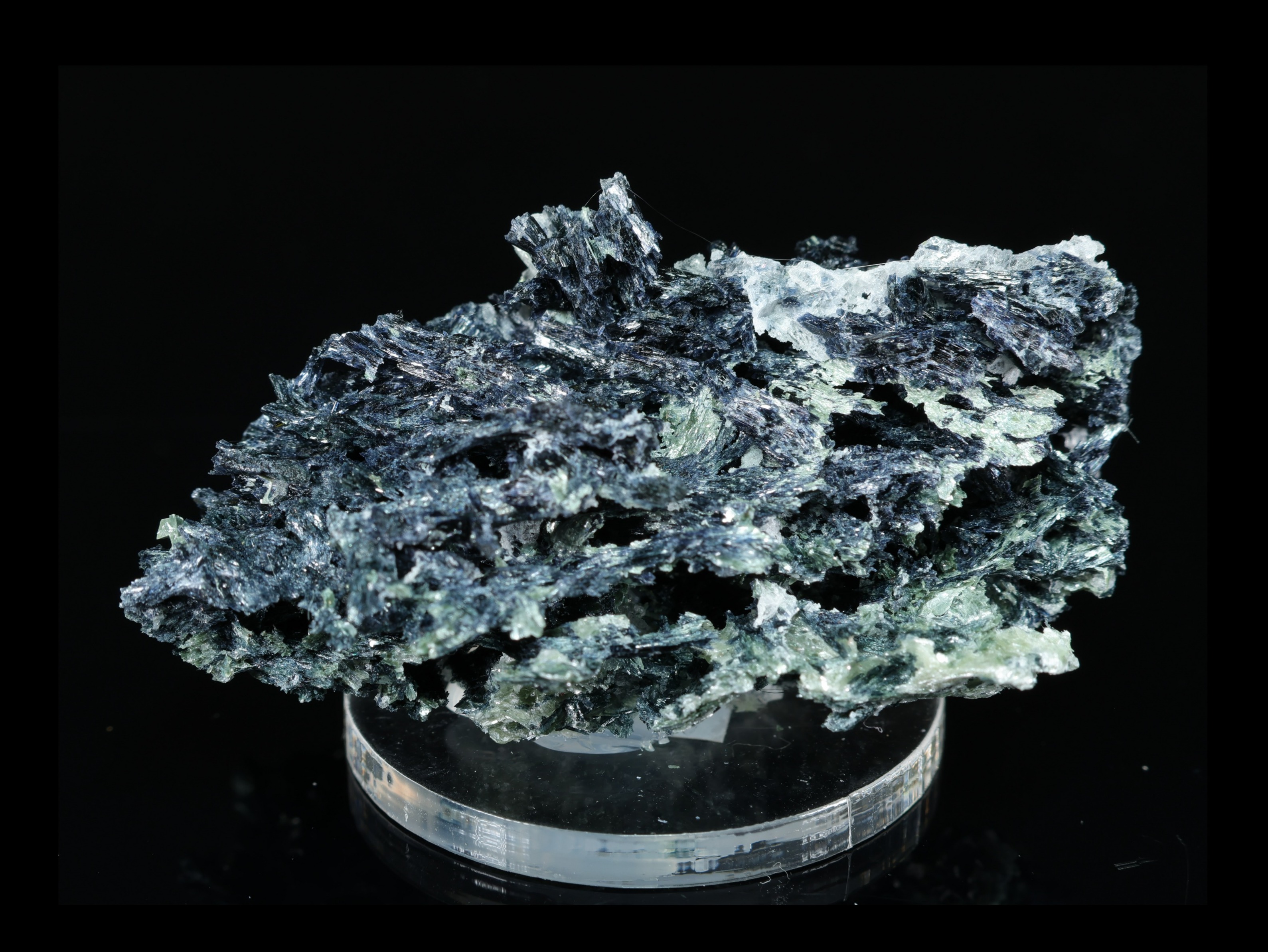 Glaucofana