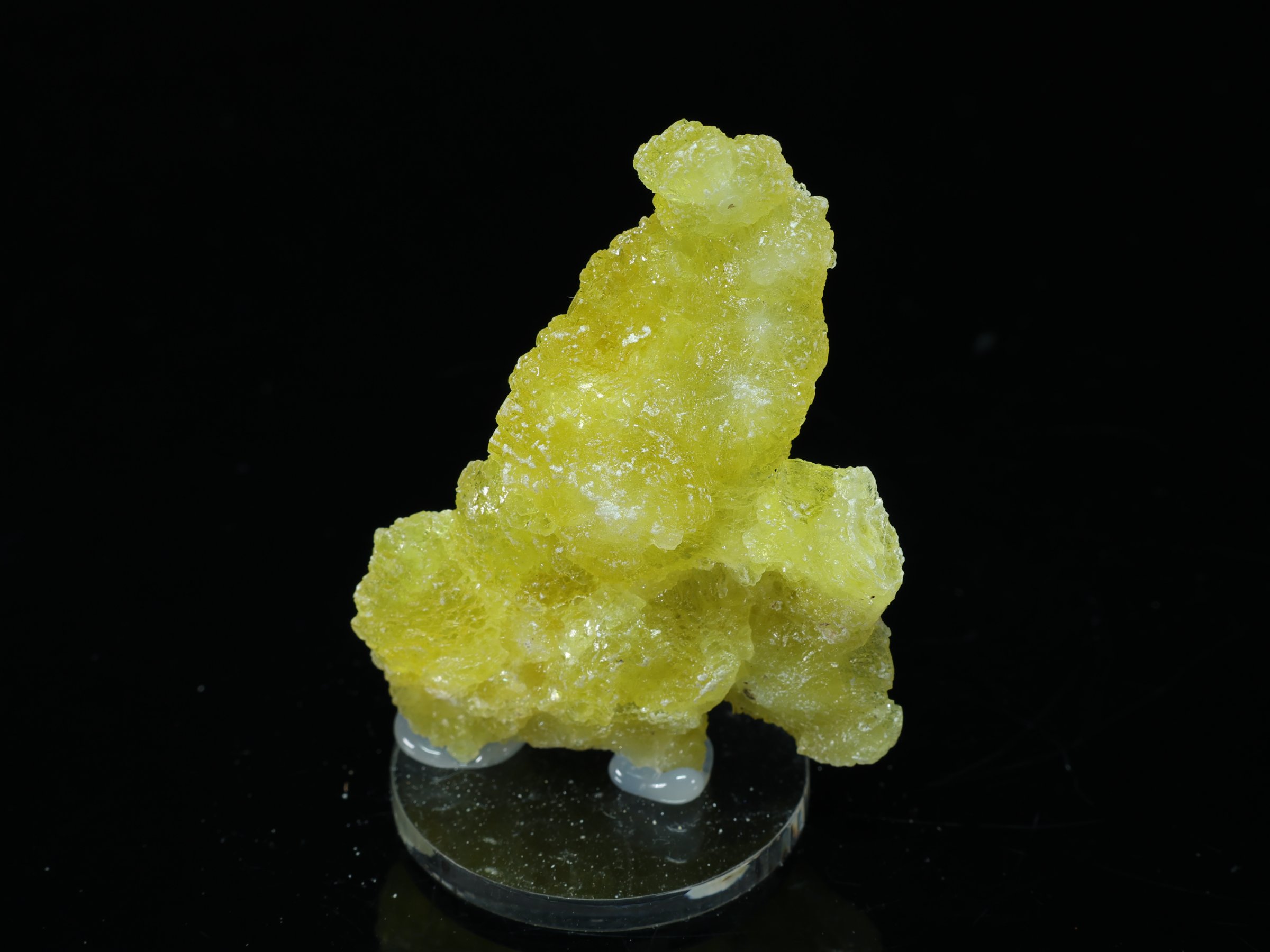 Brocita amarillo limón de Pakistán - 5,5 cm - -