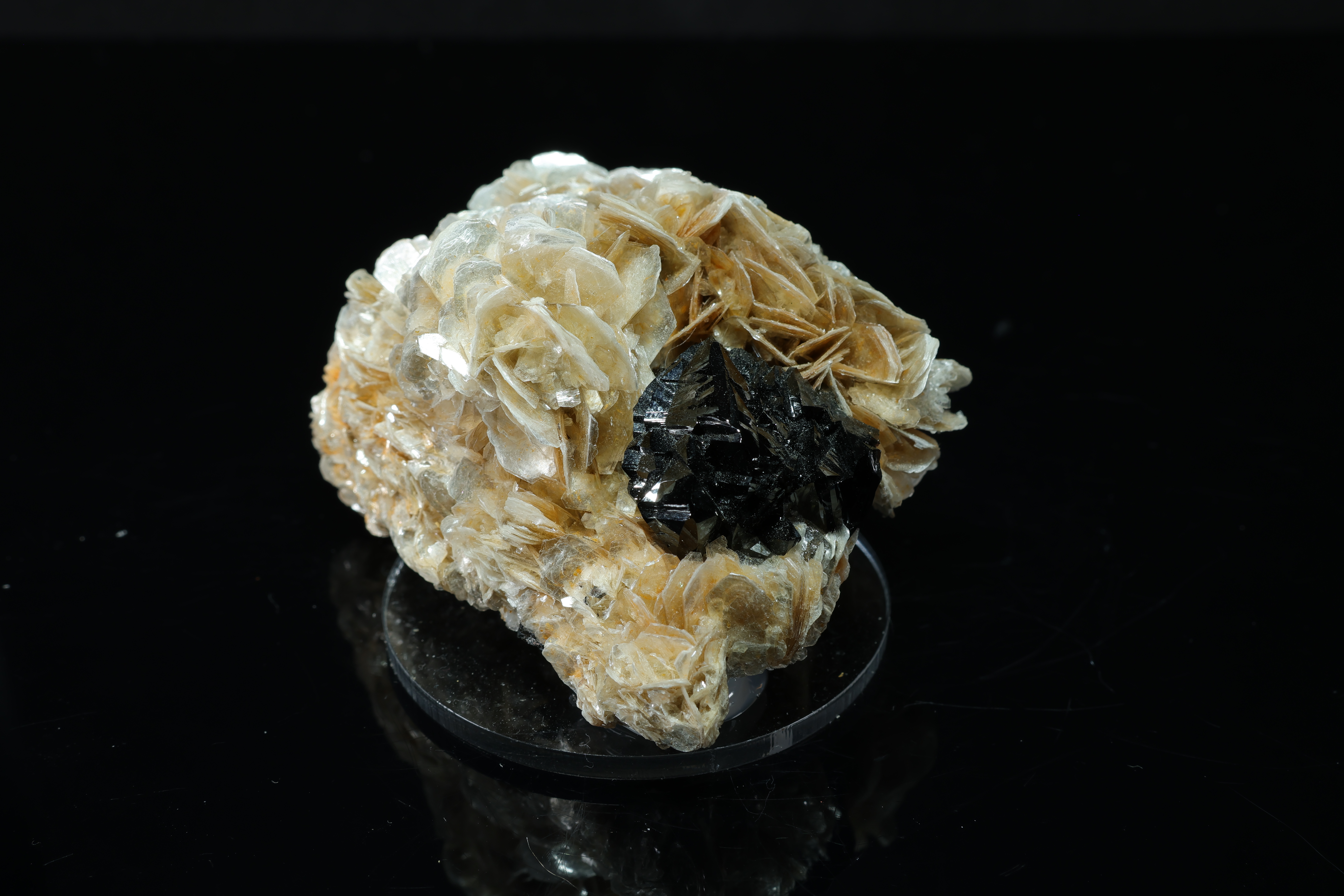 Cassiterita negra brillante en muscovita de Xuebaoding