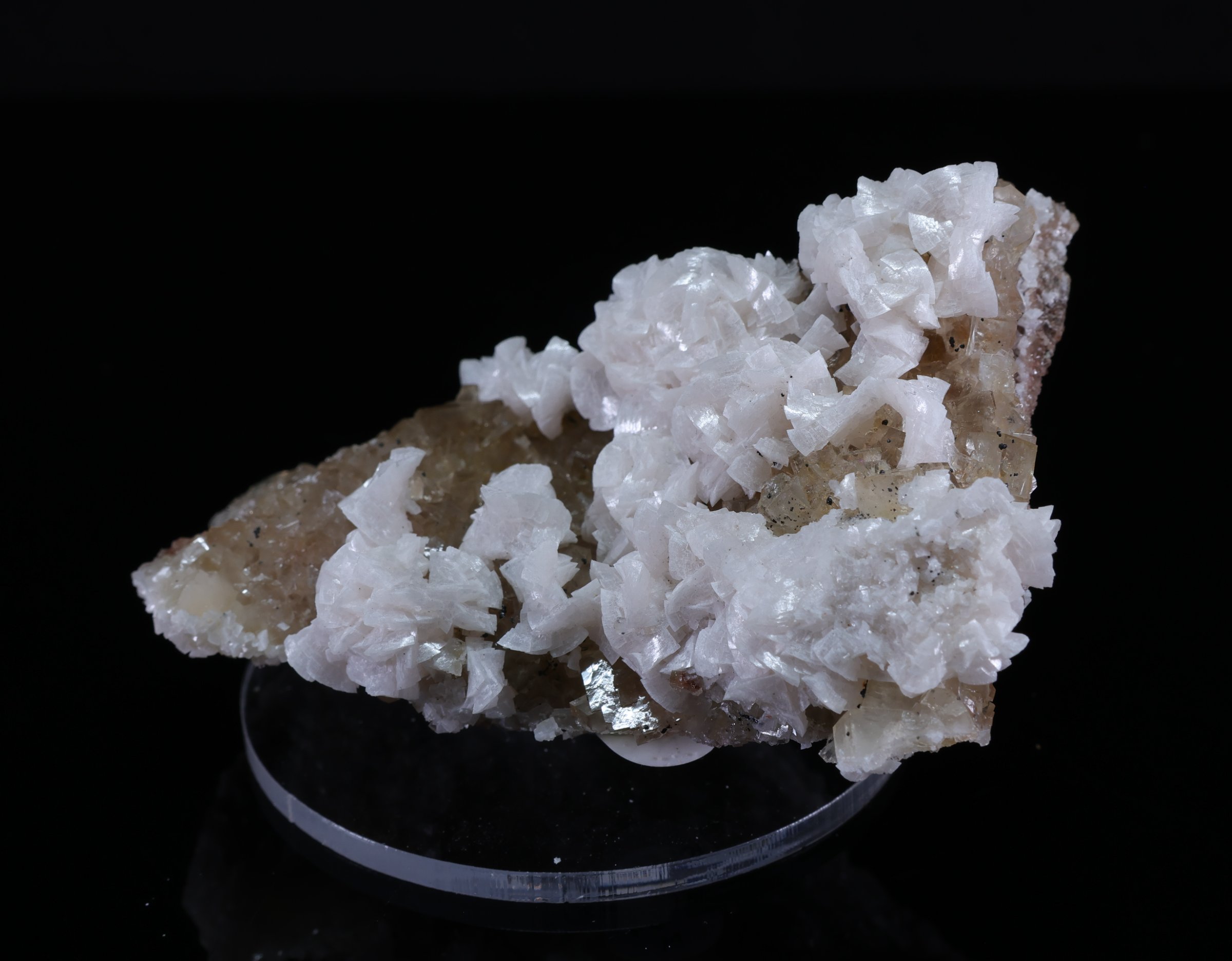 Białe kryształy dolomitu na fluorycie z Moscona Mine