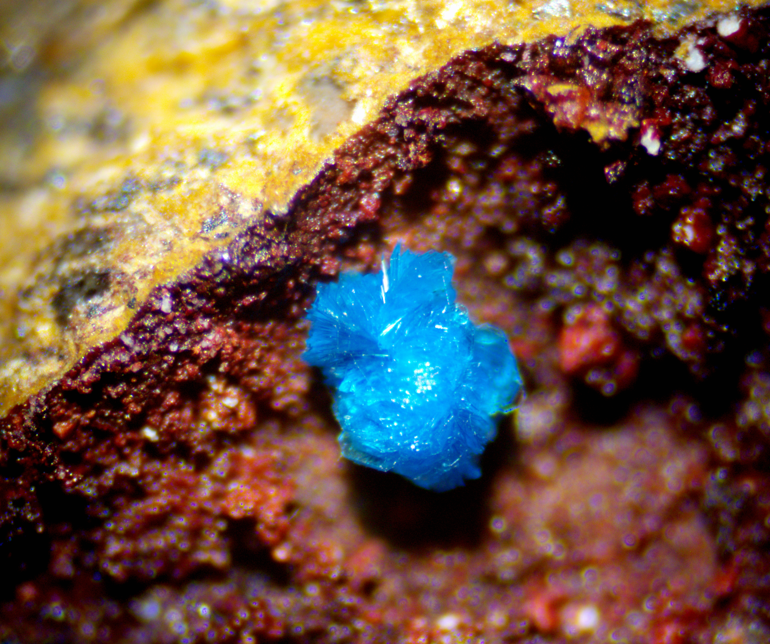 Sampleite