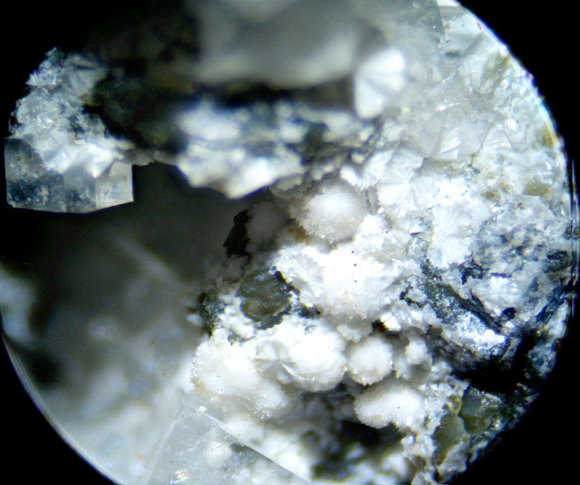 Cowlesite