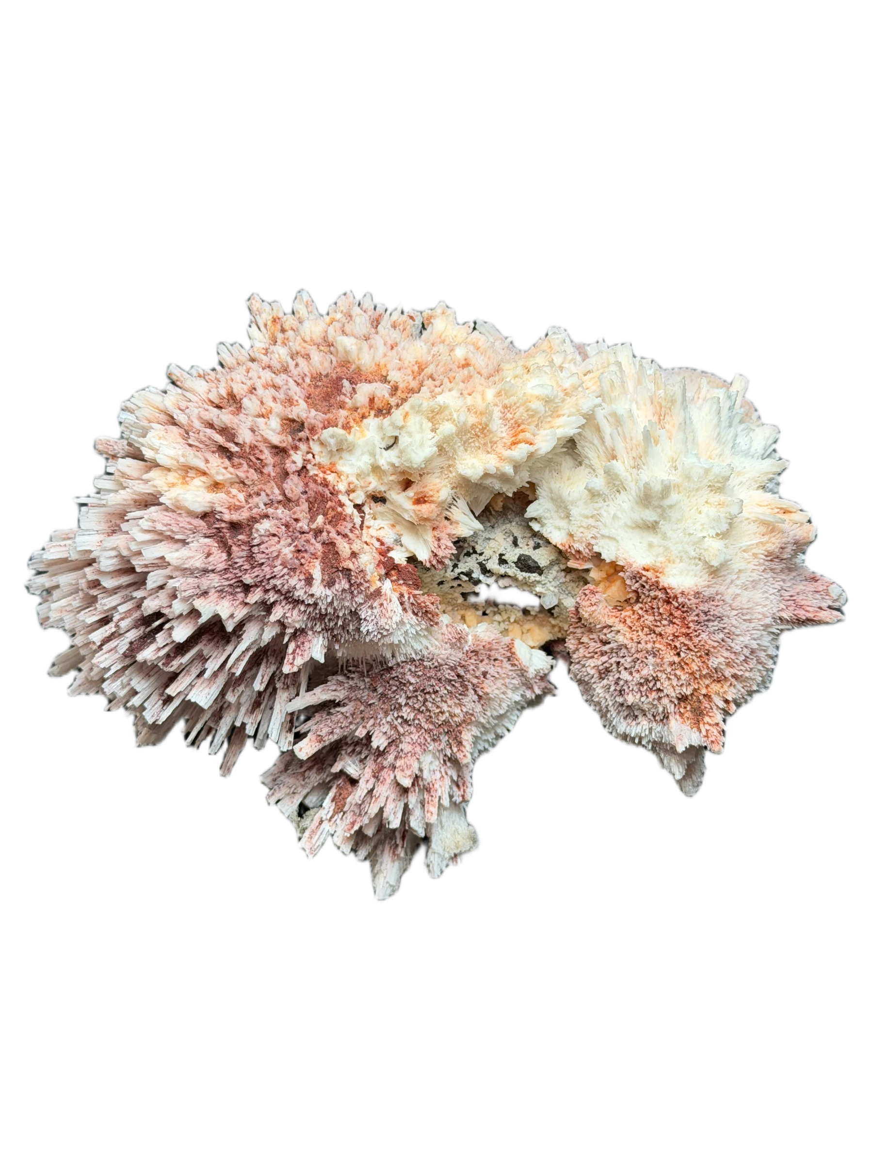 Mordenite