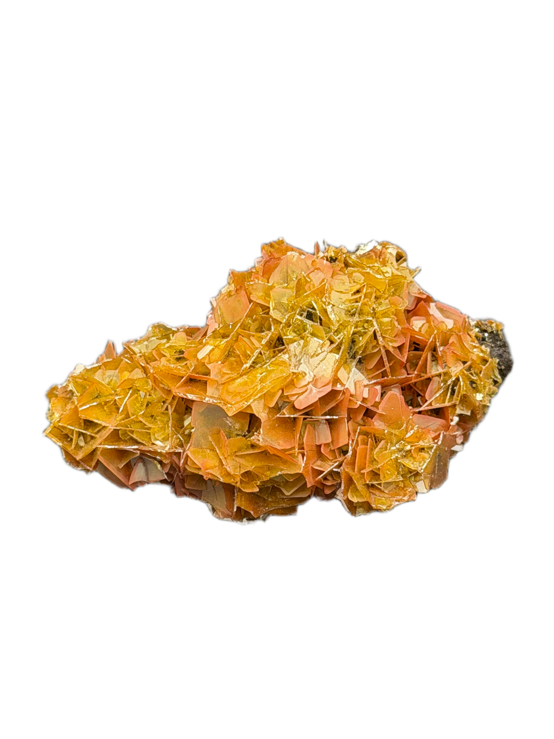 Wulfenite
