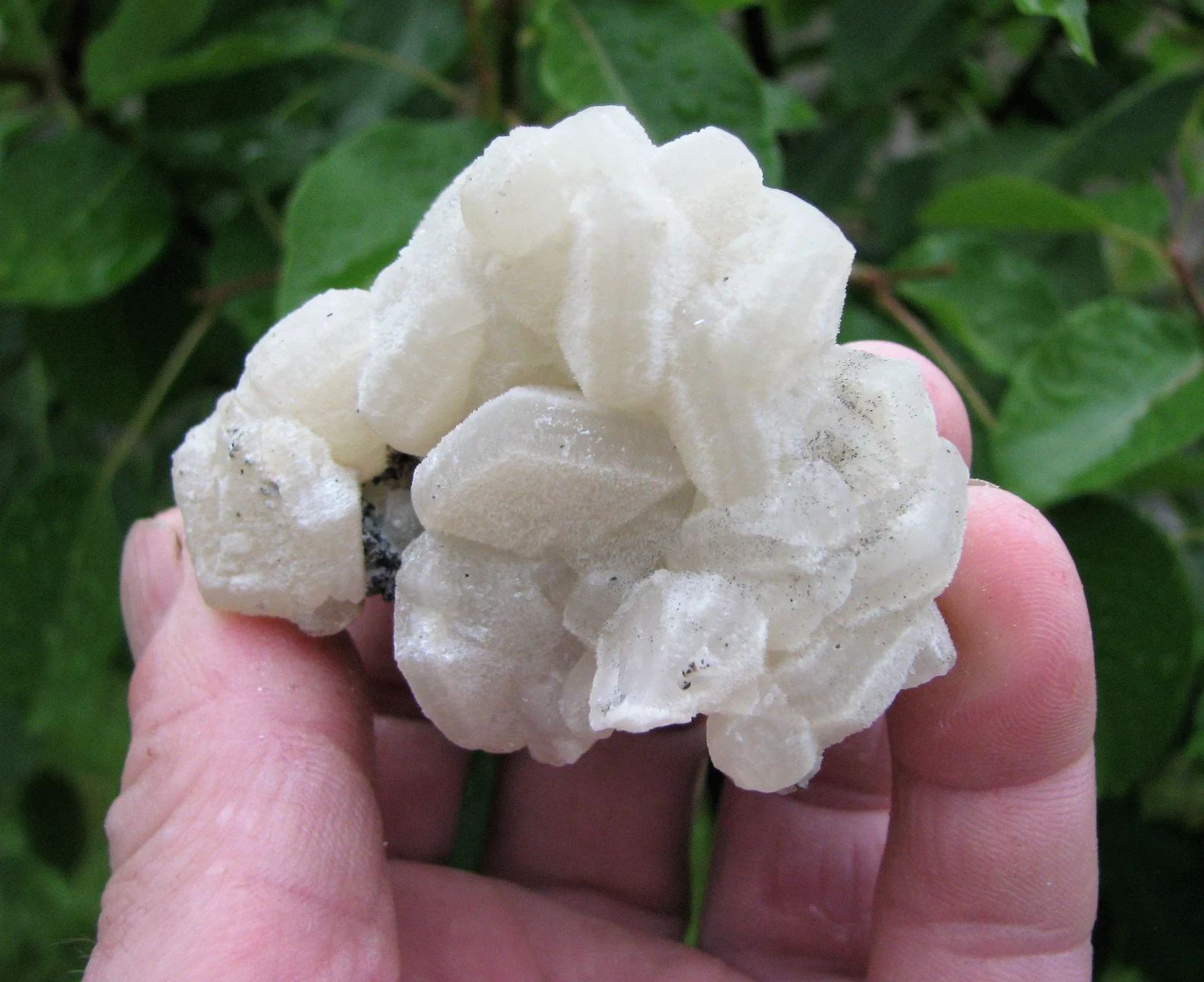 Okaz mineralny