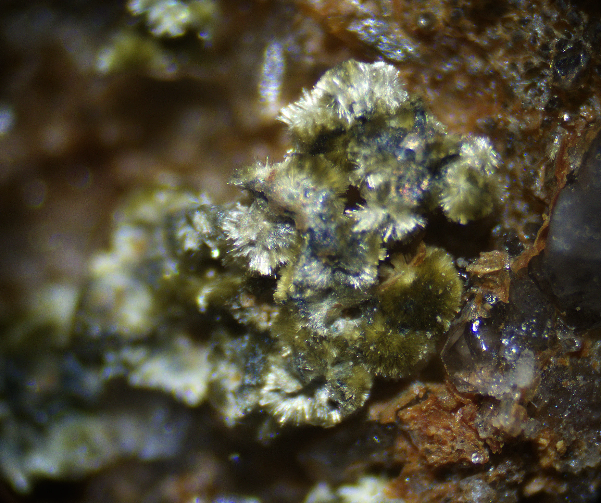 Parasymplesite