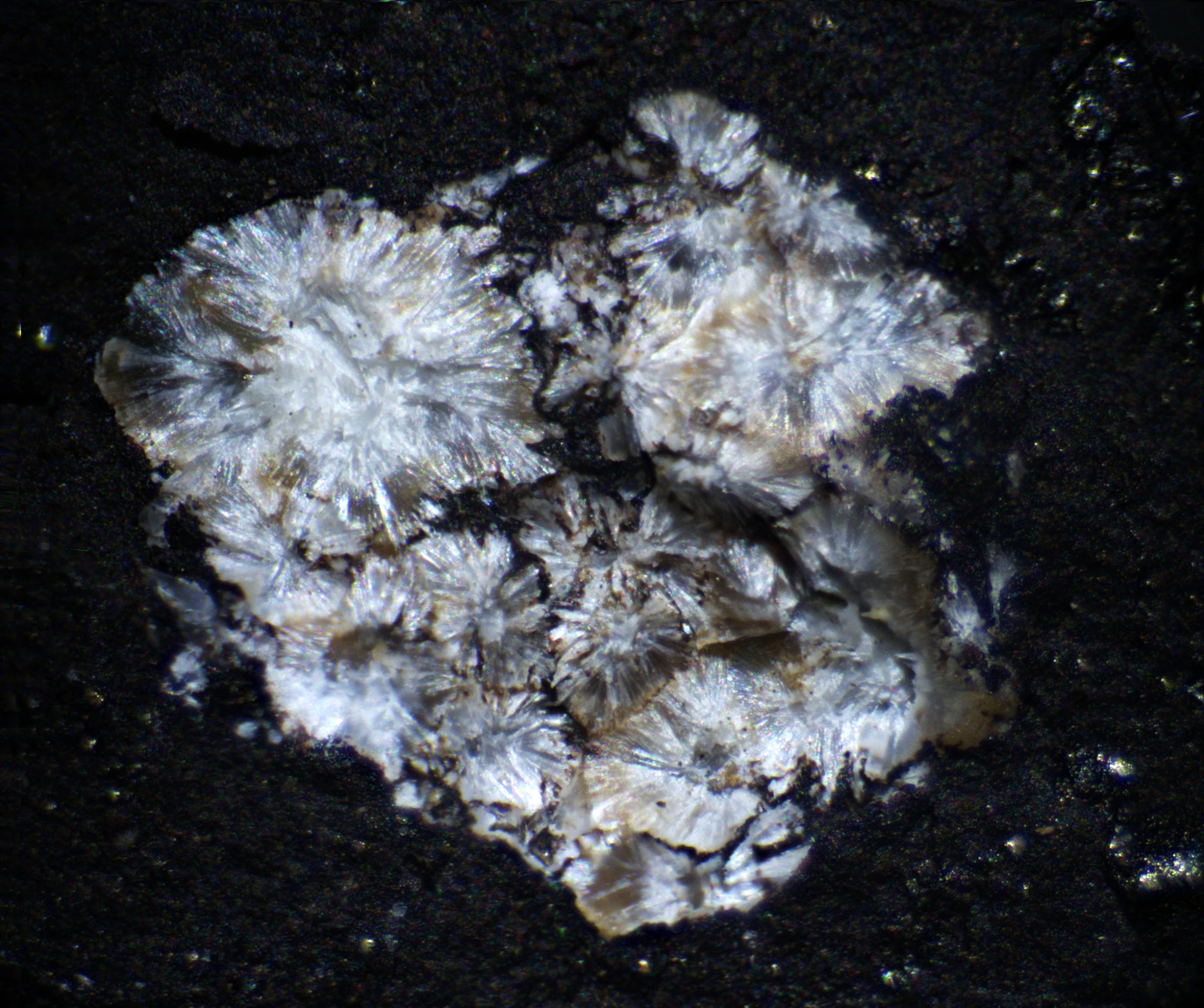 Okaz mineralny