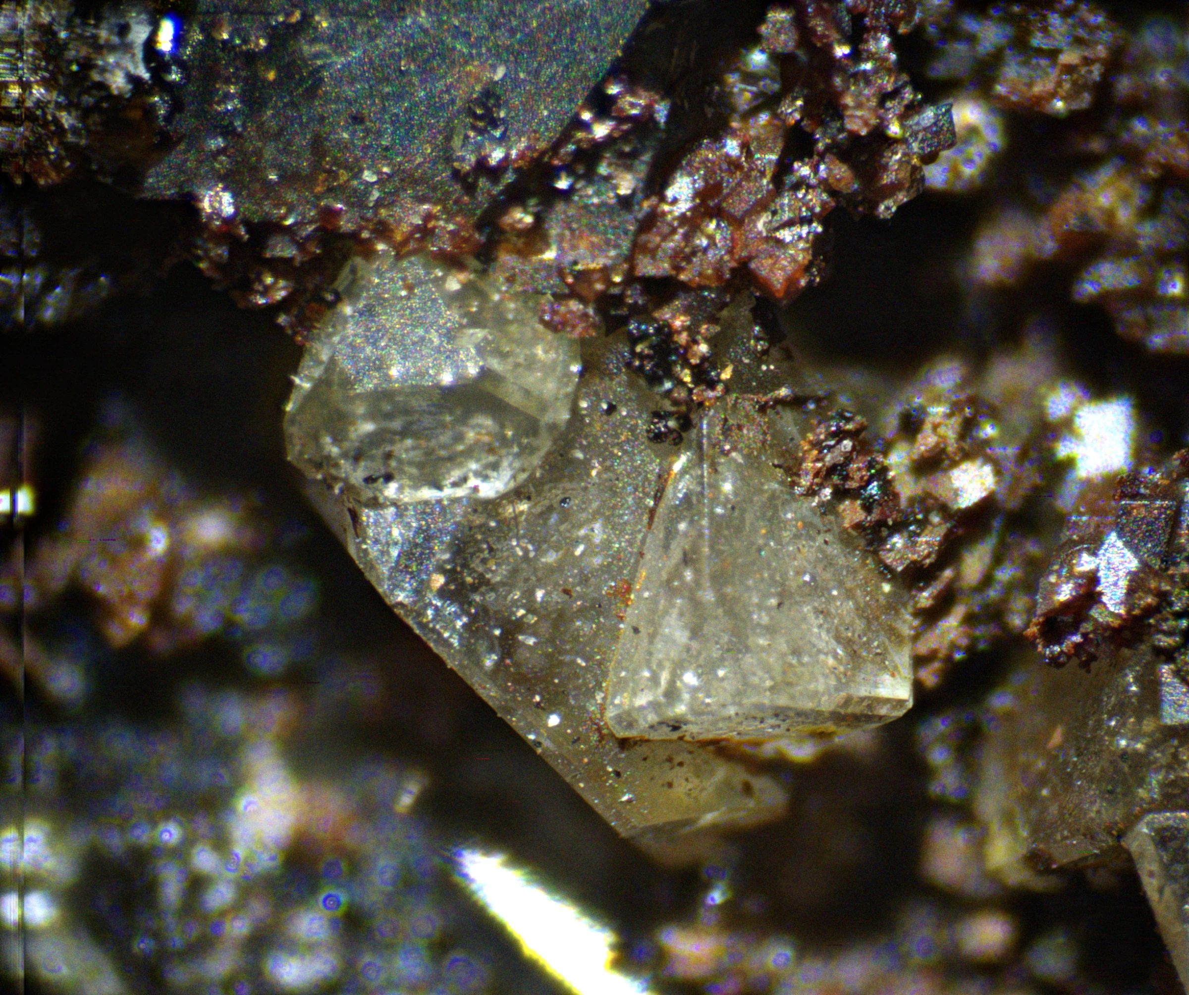 Whitlockite