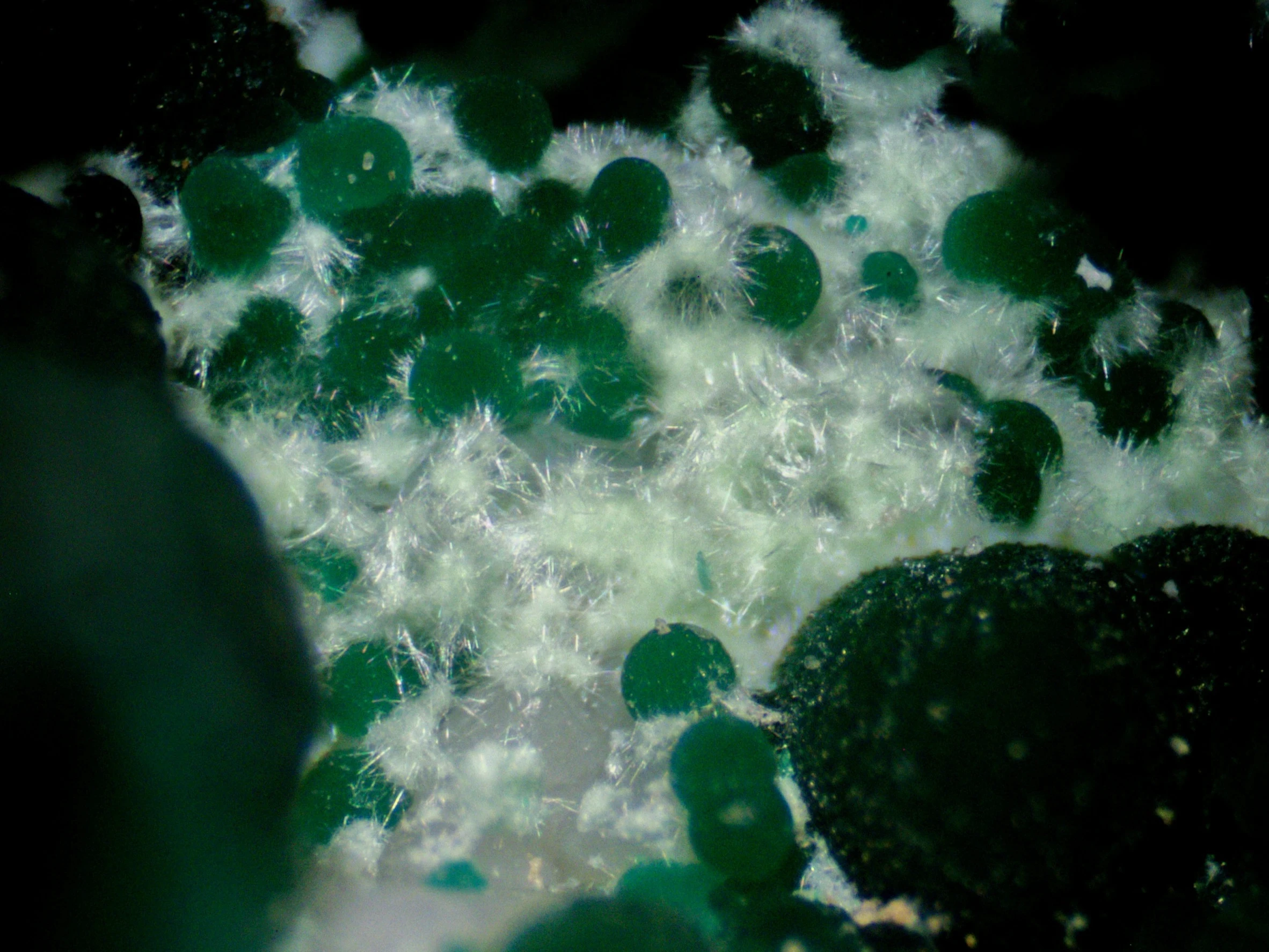 Agardite-(Ce)