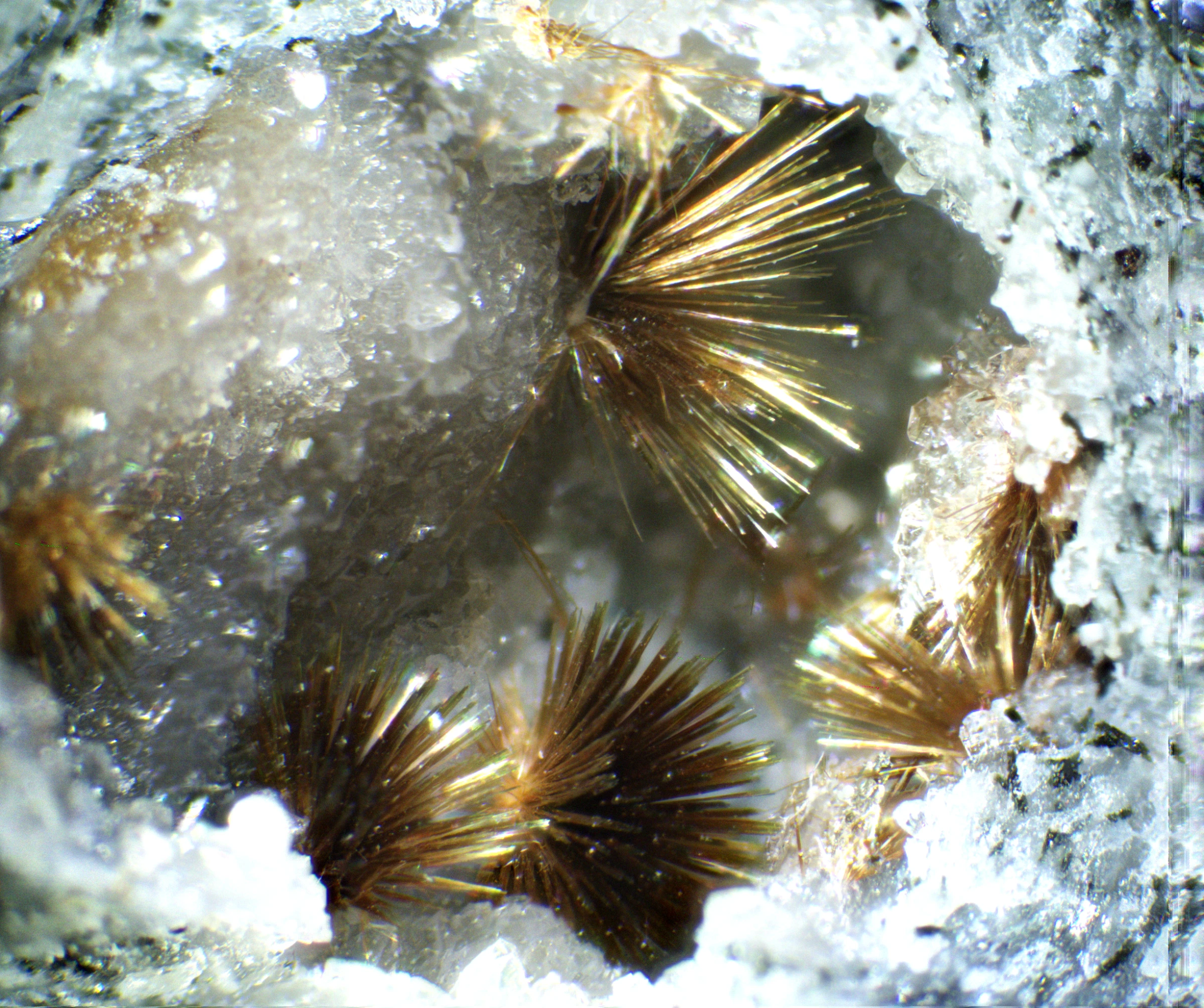 Okaz mineralny