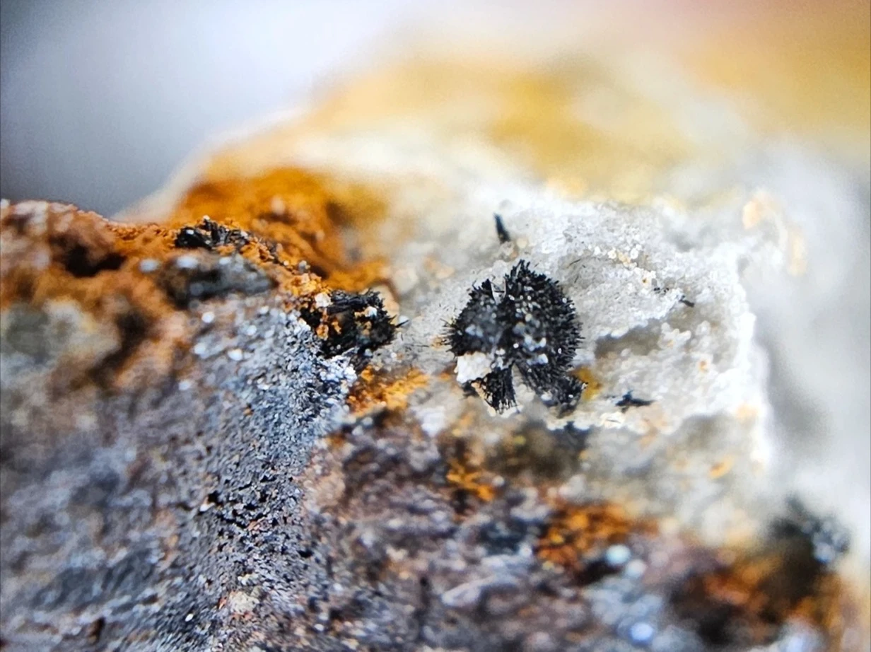 Okaz mineralny
