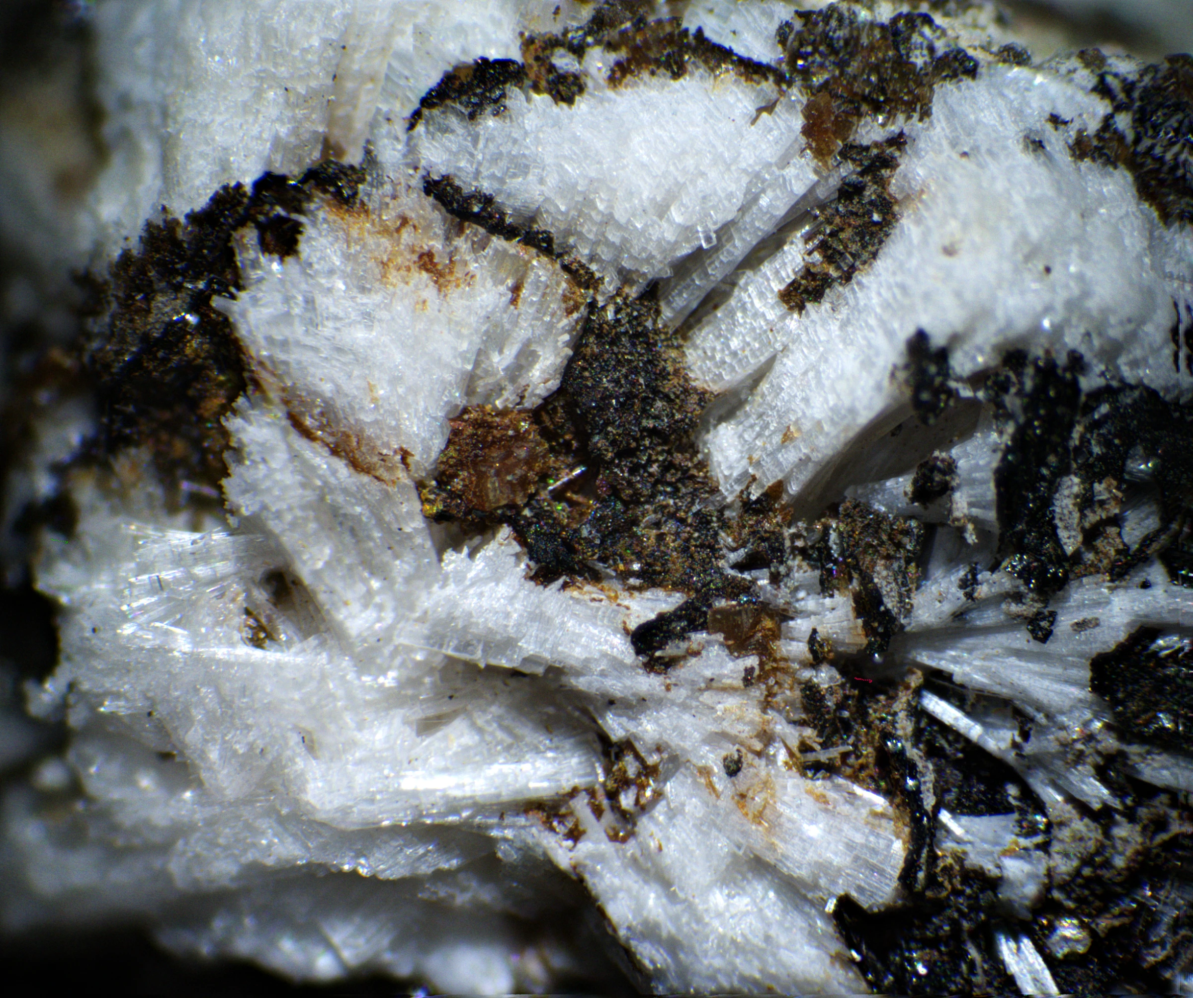 Thomasclarkite-(Y), Adamsite-Y
