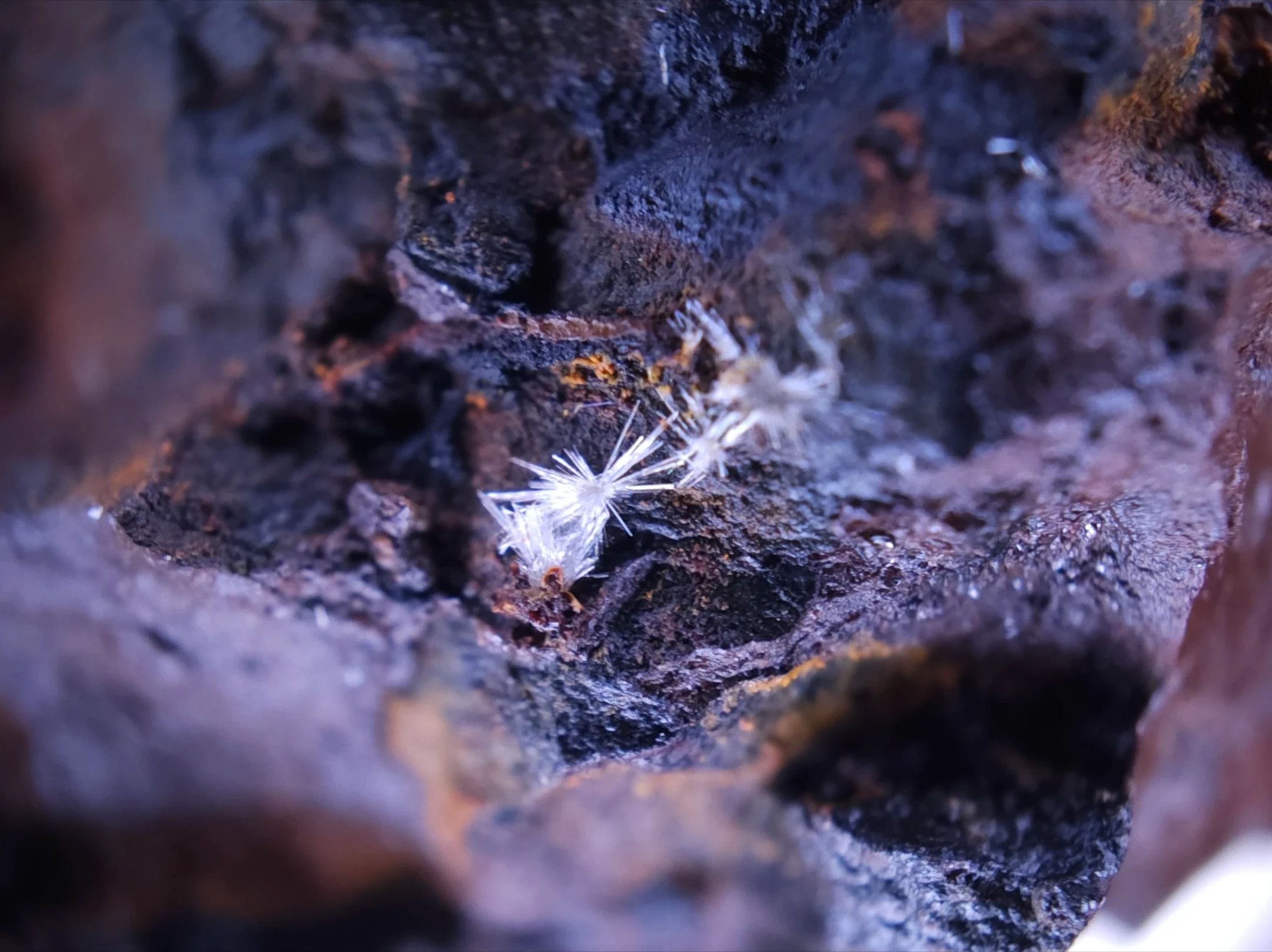 Okaz mineralny