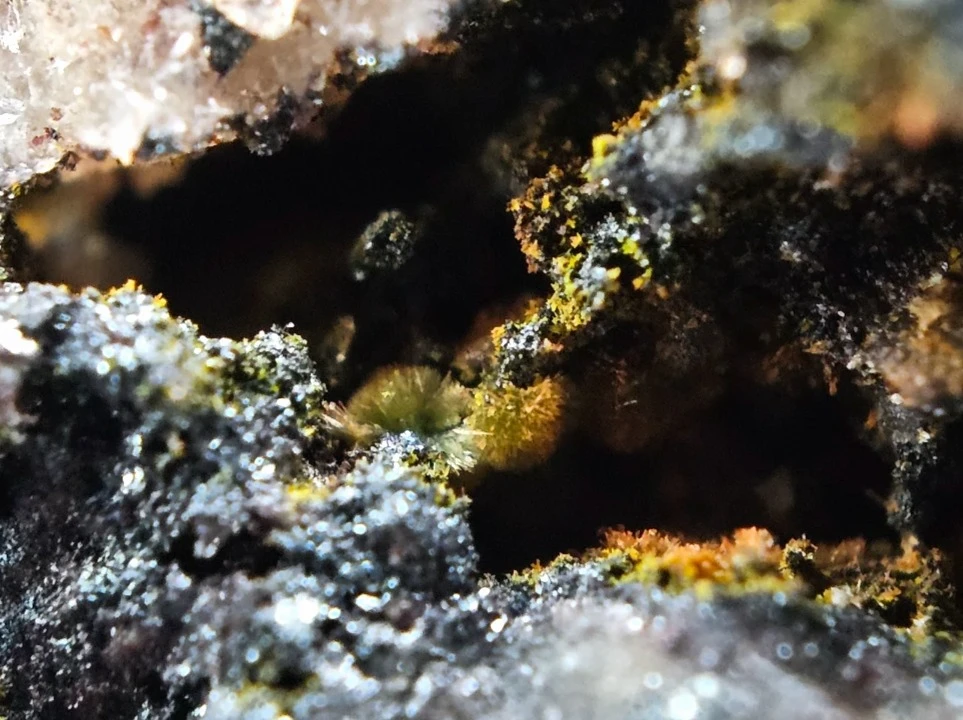Okaz mineralny